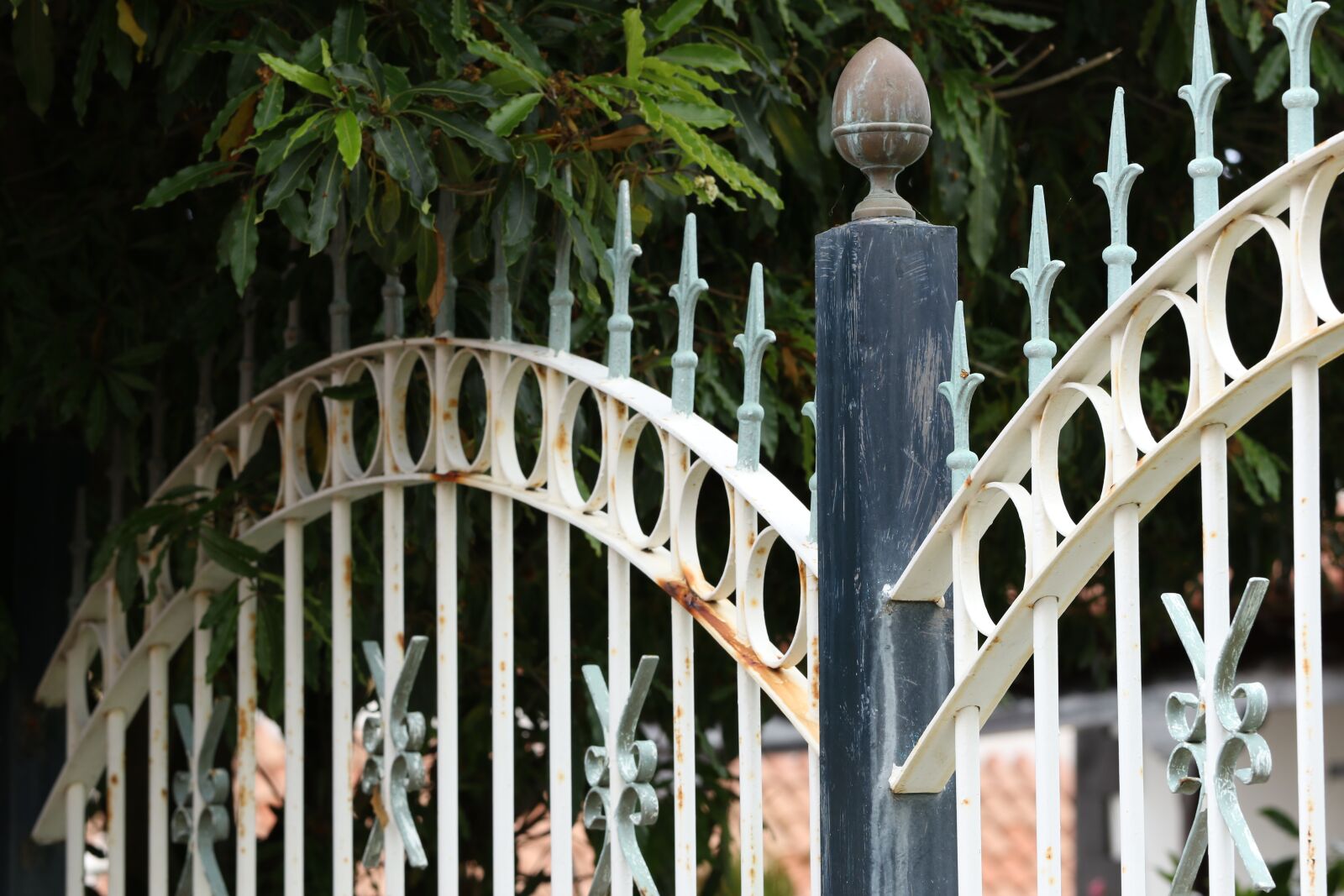 Canon EOS 7D Mark II sample photo. Fencing, the fence, metal photography