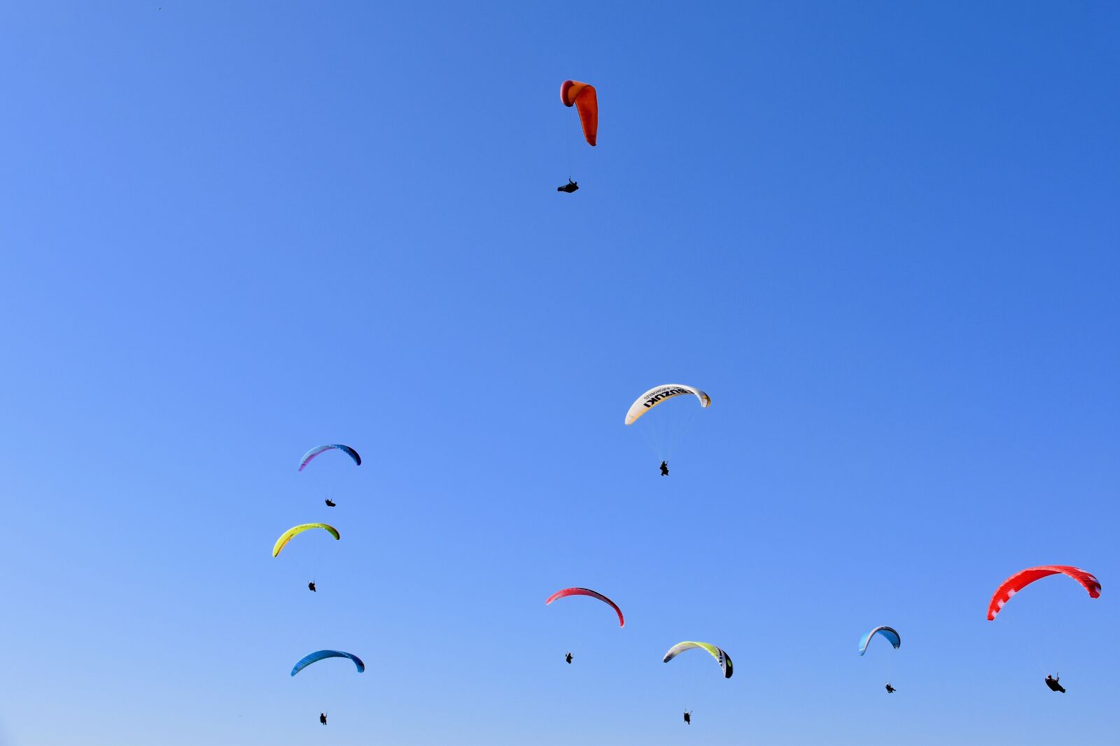 Nikon D5600 sample photo. Paragliders, sails, wings photography