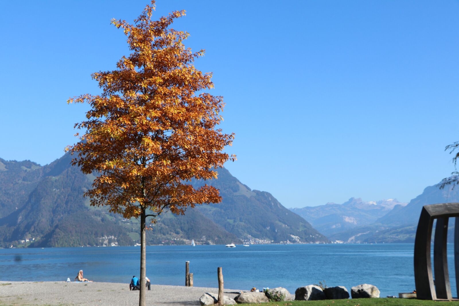 Canon EF-S 18-135mm F3.5-5.6 IS USM sample photo. Tree, lake, autumn photography