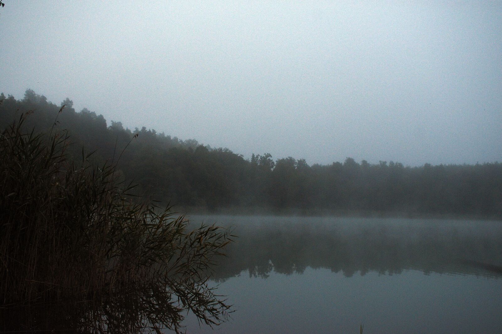 Nikon D3400 sample photo. Lake, water, the fog photography
