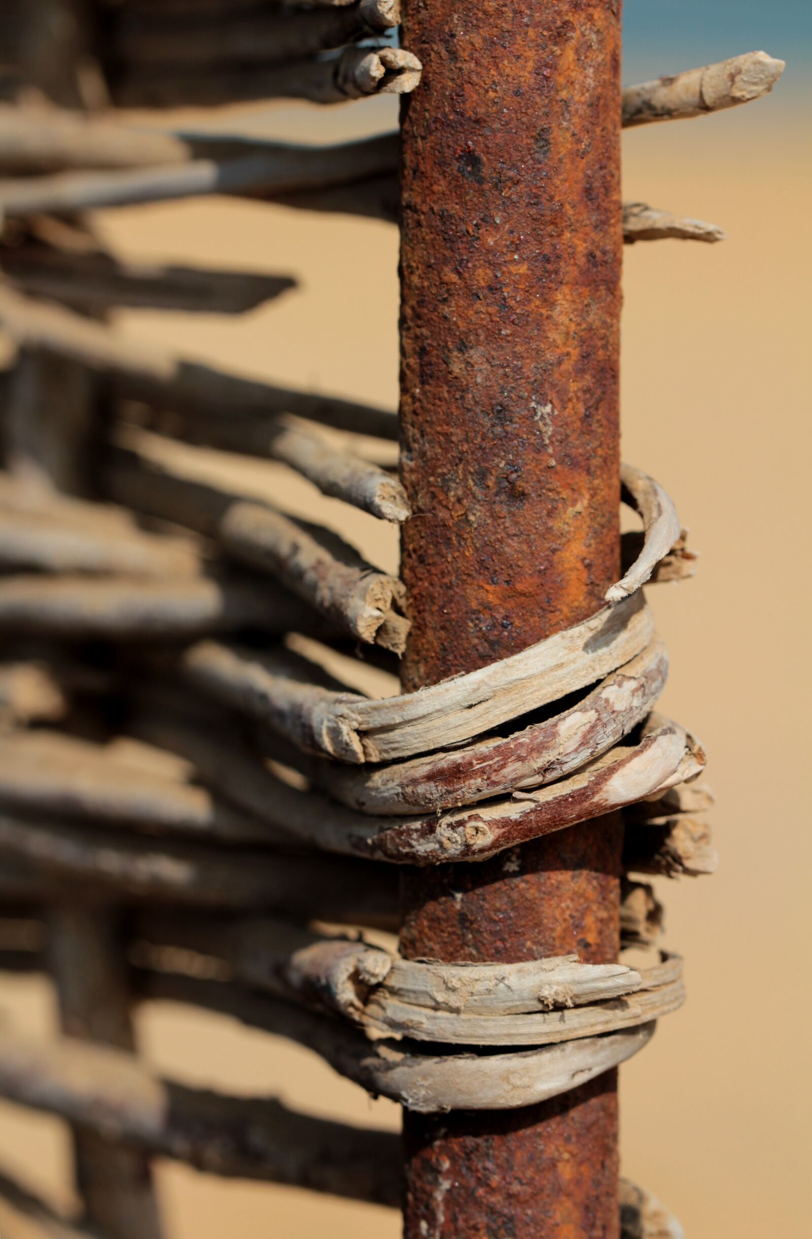 Canon EF 100mm F2.8L Macro IS USM sample photo. Braid, rust, rusty photography