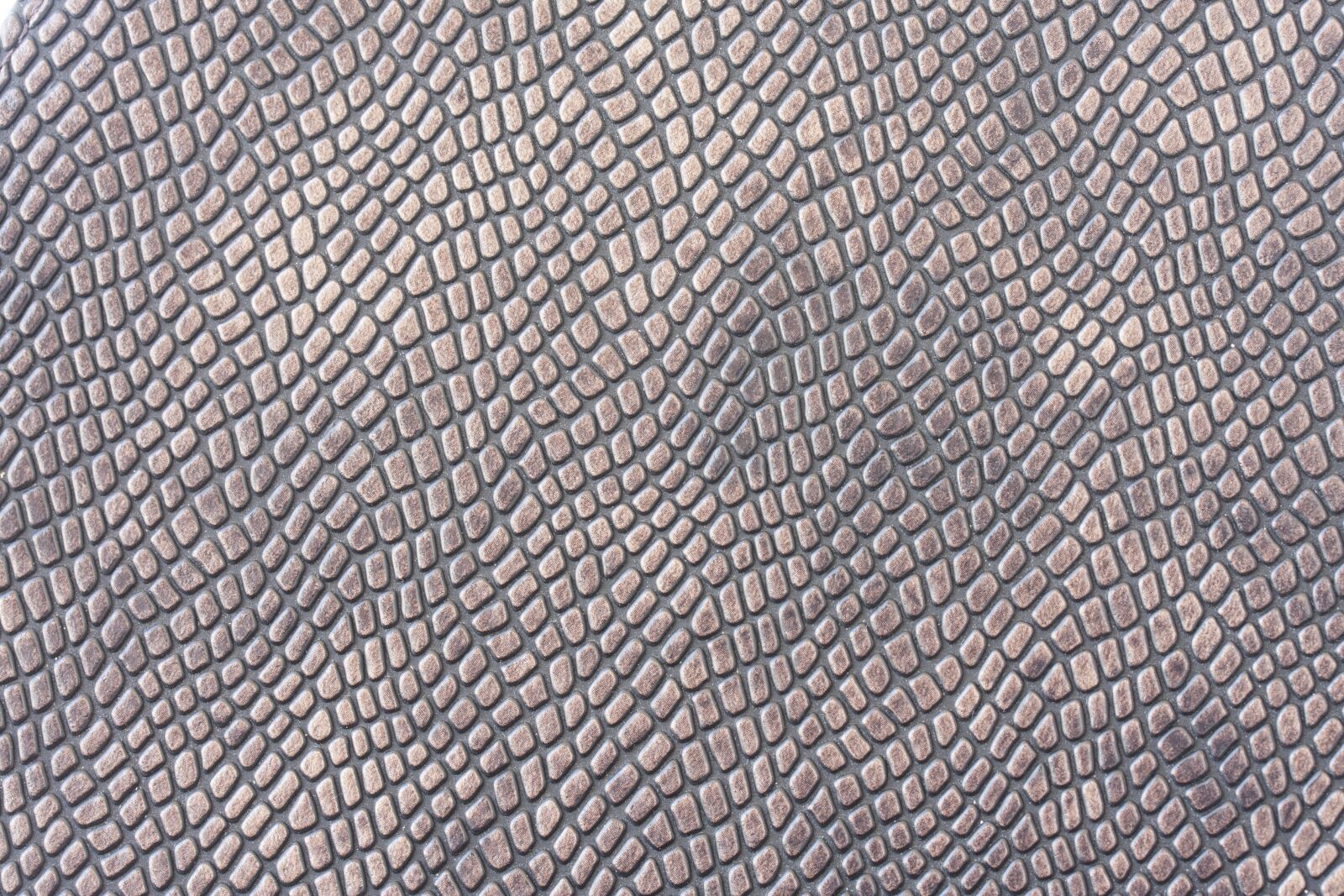 Canon EF-S 60mm F2.8 Macro USM sample photo. Skin, texture, pattern photography