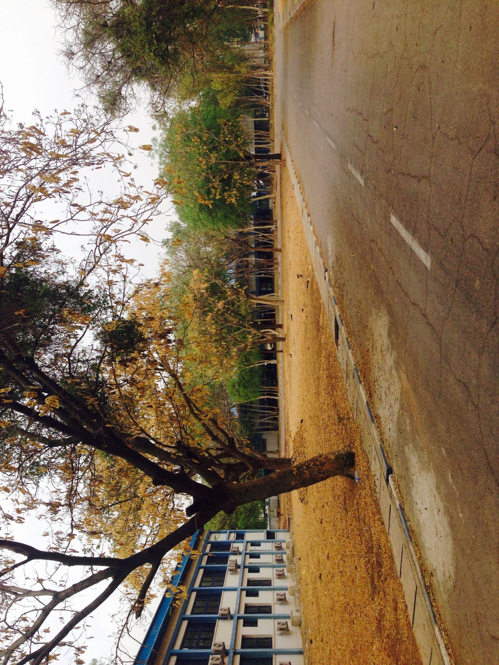 iPhone 5 back camera 4.12mm f/2.4 sample photo. Harmattan, mothernature, nature, nature photography