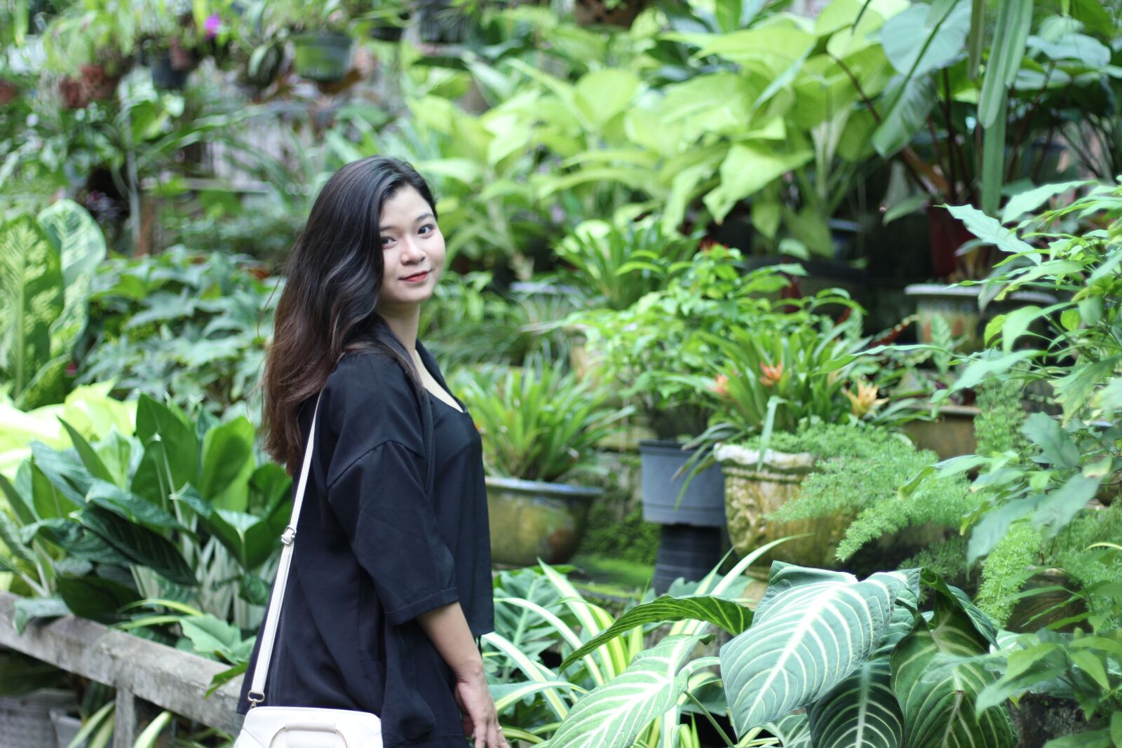 Canon EOS 1300D (EOS Rebel T6 / EOS Kiss X80) sample photo. Vietnamese, vietnam, asian photography