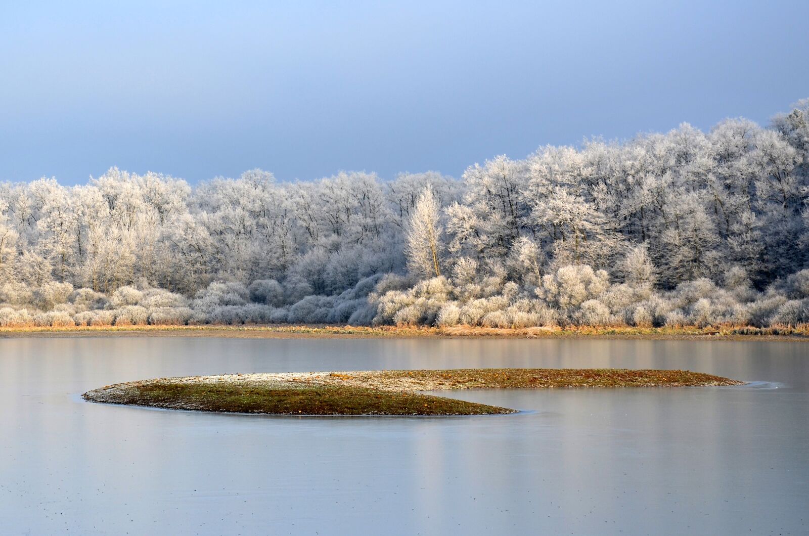 Nikon D5100 sample photo. Frost, winter, cold photography