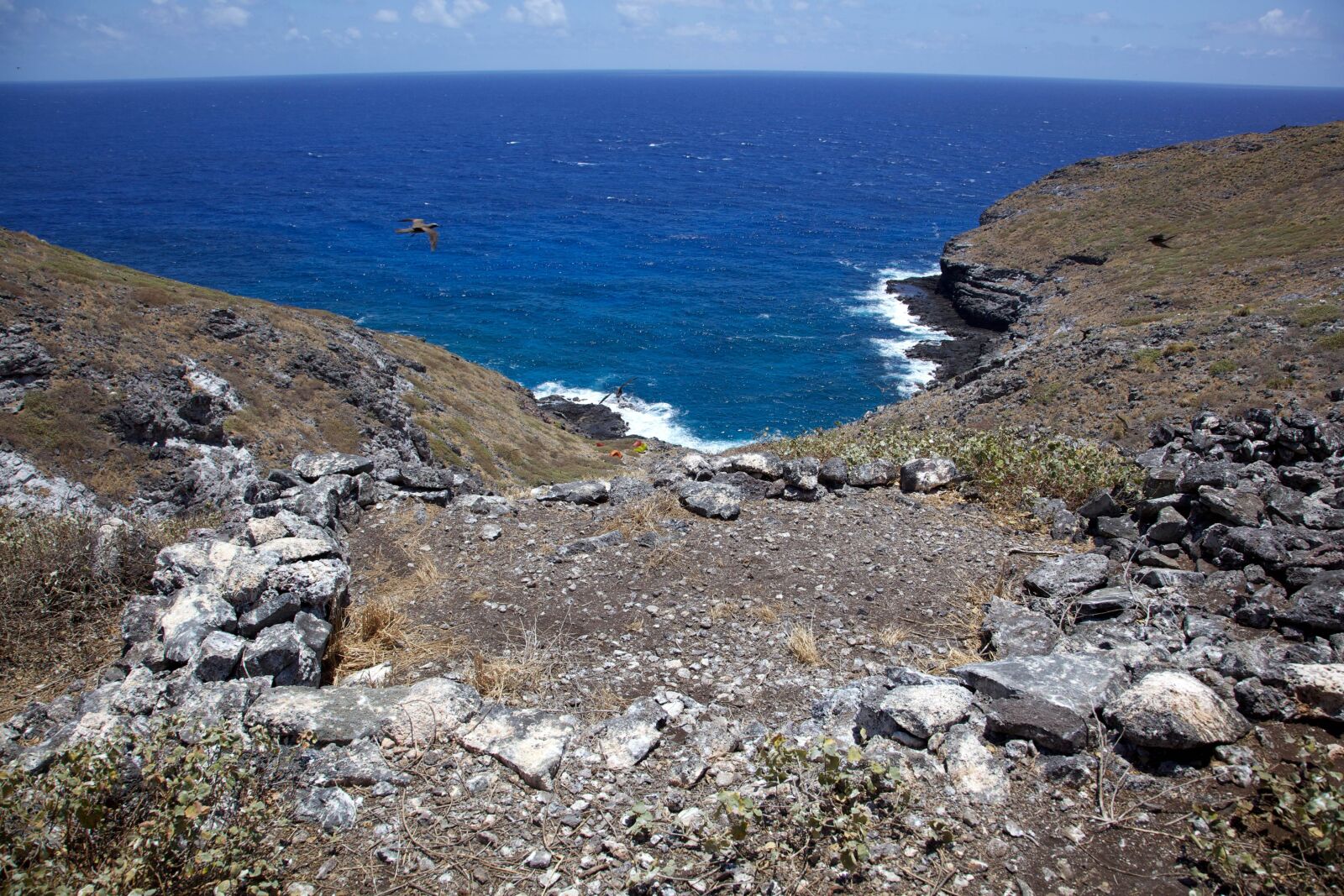 Canon EOS 5D Mark II sample photo. Coast, laysan, island, shore photography
