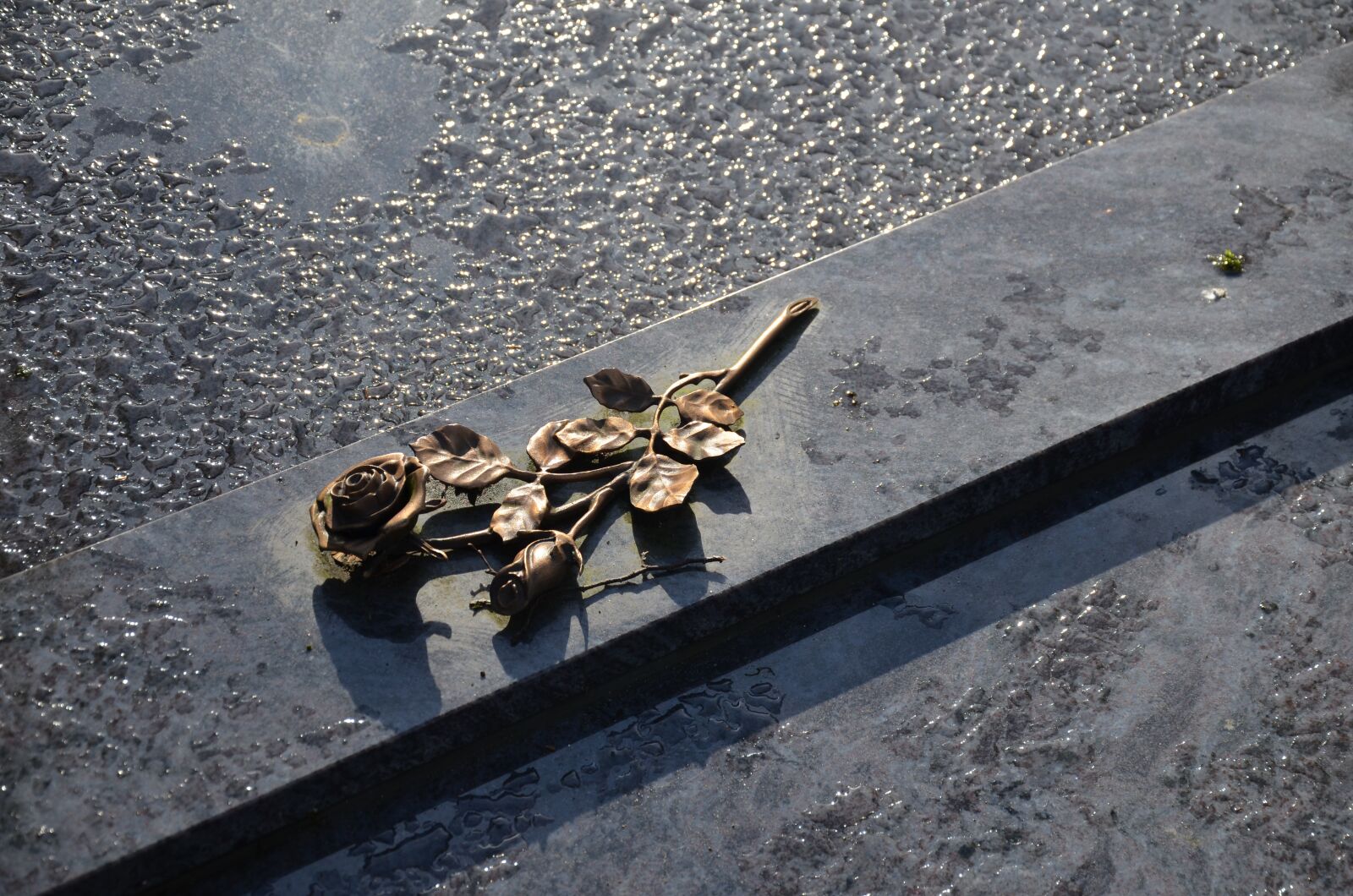 Nikon D5100 sample photo. Places, emotions, cemetery photography