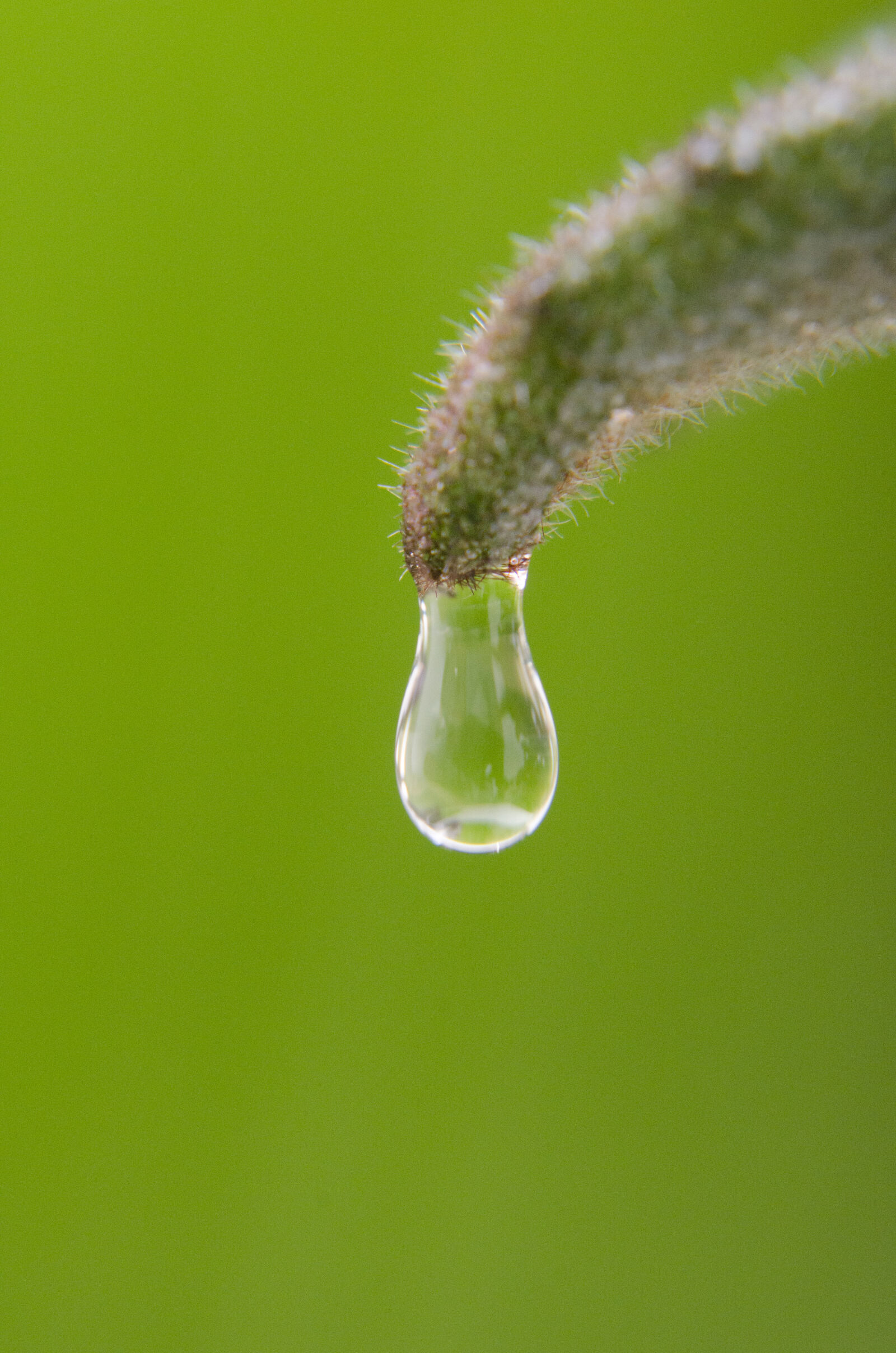 Nikon D7000 + Nikon AF-S Nikkor 50mm F1.8G sample photo. Abstract, abstrato, background, brazilian photography