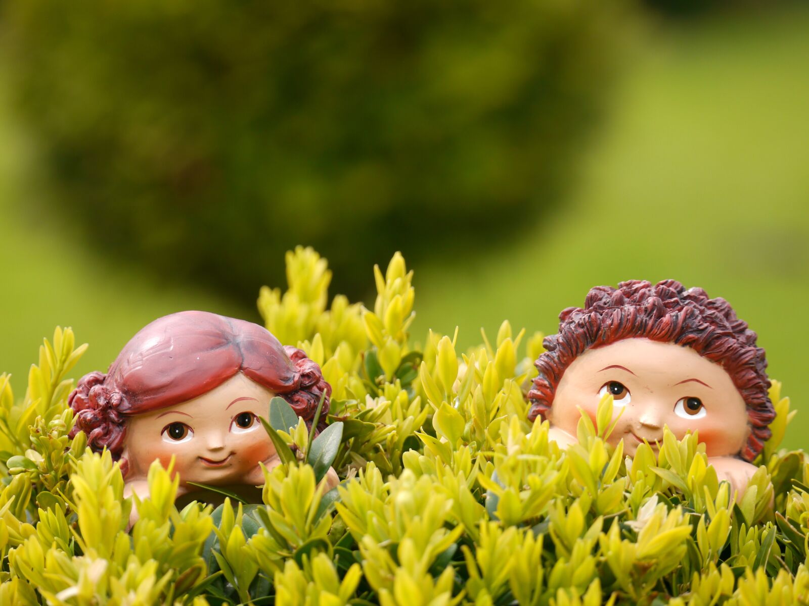 Panasonic Lumix DMC-G5 sample photo. Hidden, children, spring photography
