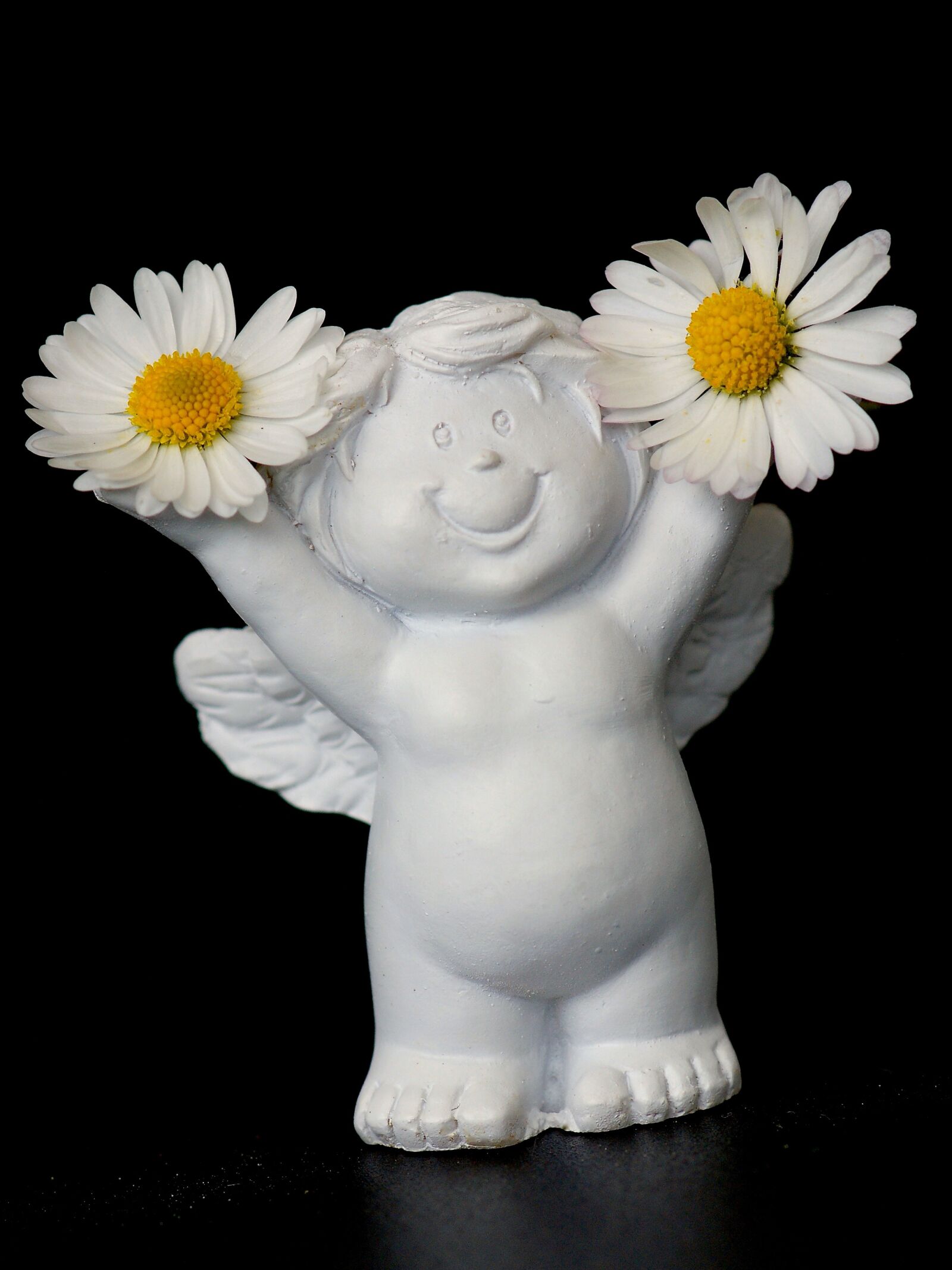 Sony Alpha DSLR-A350 sample photo. Guardian angel, daisy, cheerful photography