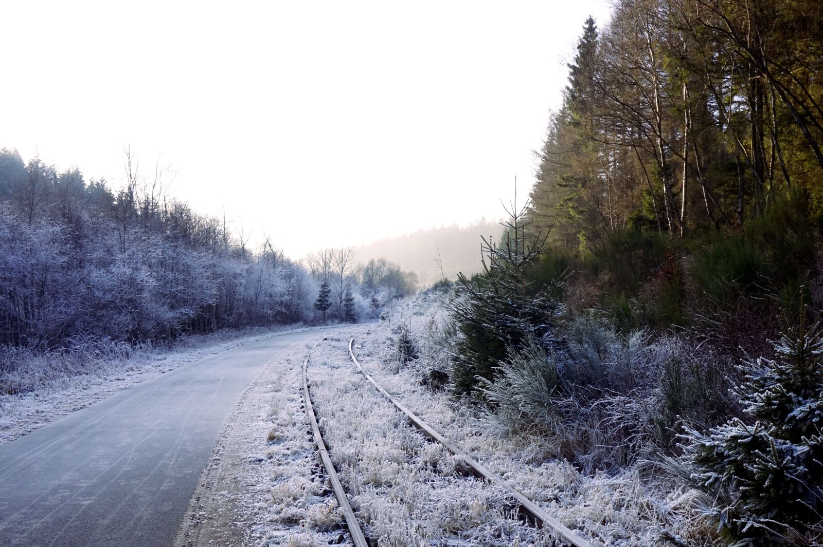 Sony Alpha a5000 (ILCE 5000) sample photo. Forest, winter, rails photography