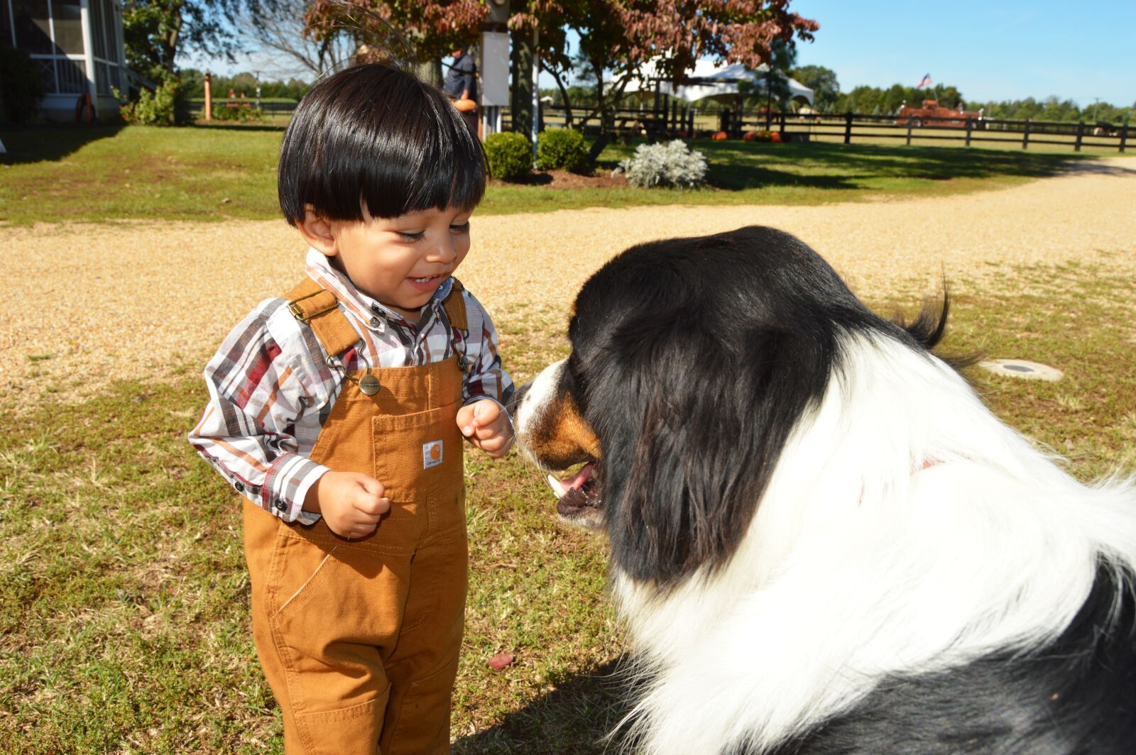Nikon D3200 sample photo. Kid, dog, friend photography
