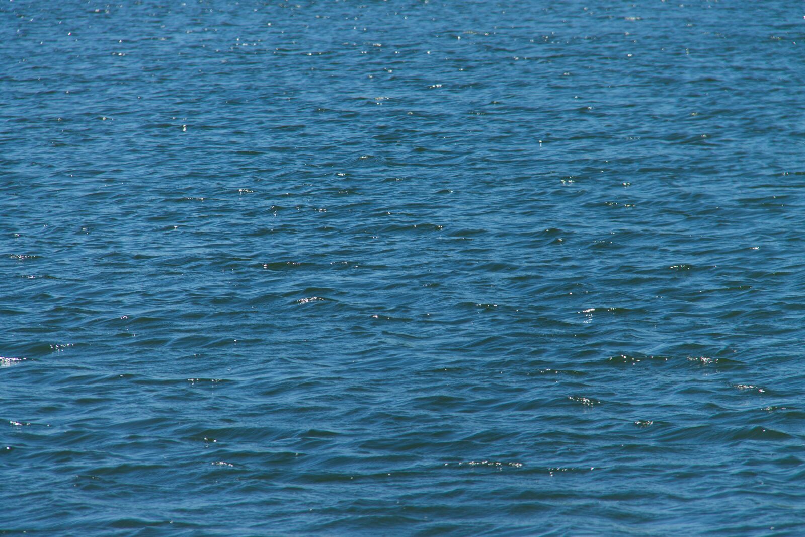 Canon EOS 1100D (EOS Rebel T3 / EOS Kiss X50) sample photo. Waves, water, nature photography