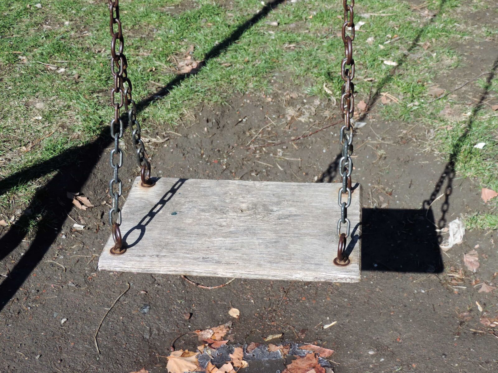 Nikon Coolpix P520 sample photo. Fun, playground, swing, tree photography