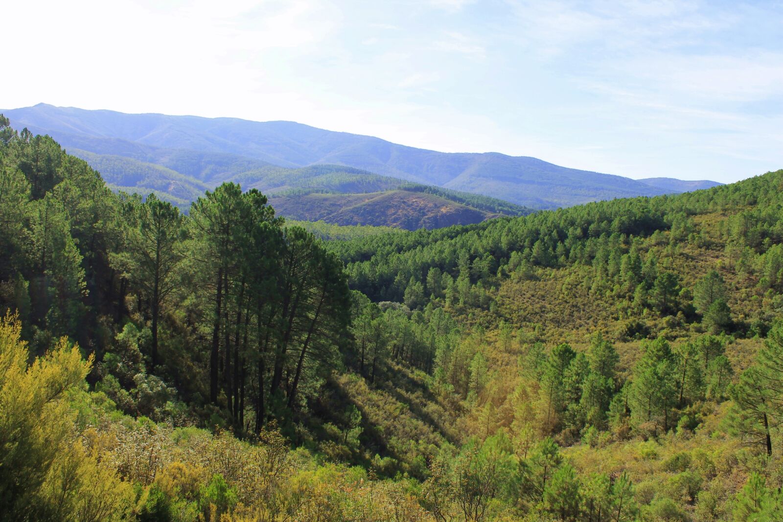 Canon EOS 1100D (EOS Rebel T3 / EOS Kiss X50) sample photo. Landscape, nature, mountain photography