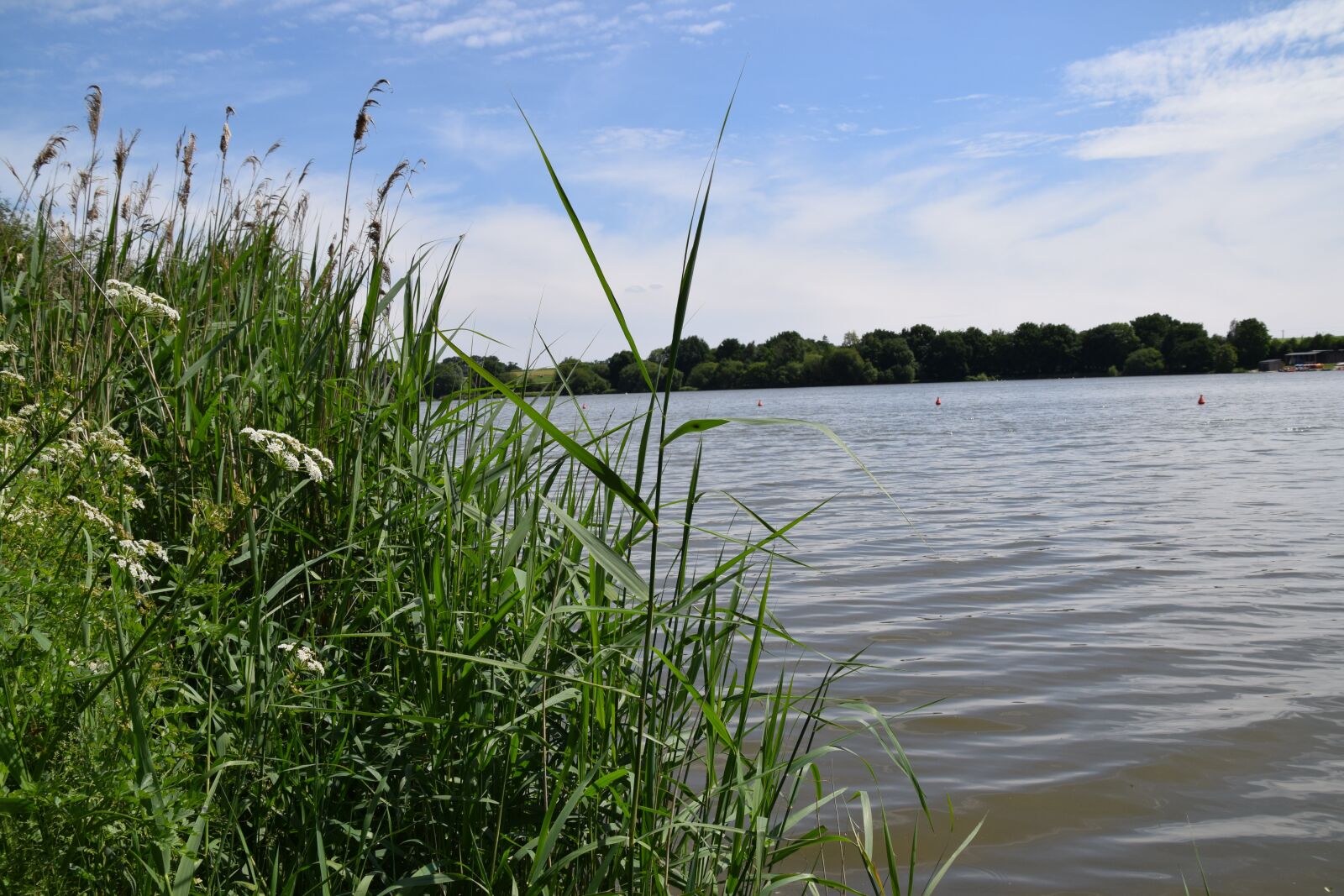 Nikon D5300 sample photo. Water, pond, nature photography