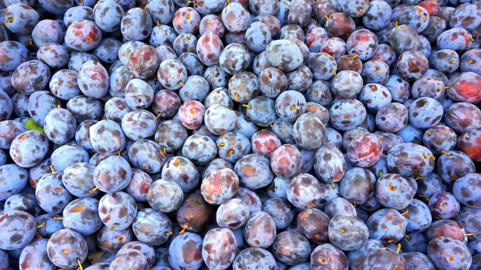 Sony Alpha a5000 (ILCE 5000) sample photo. Plum, food, berries photography