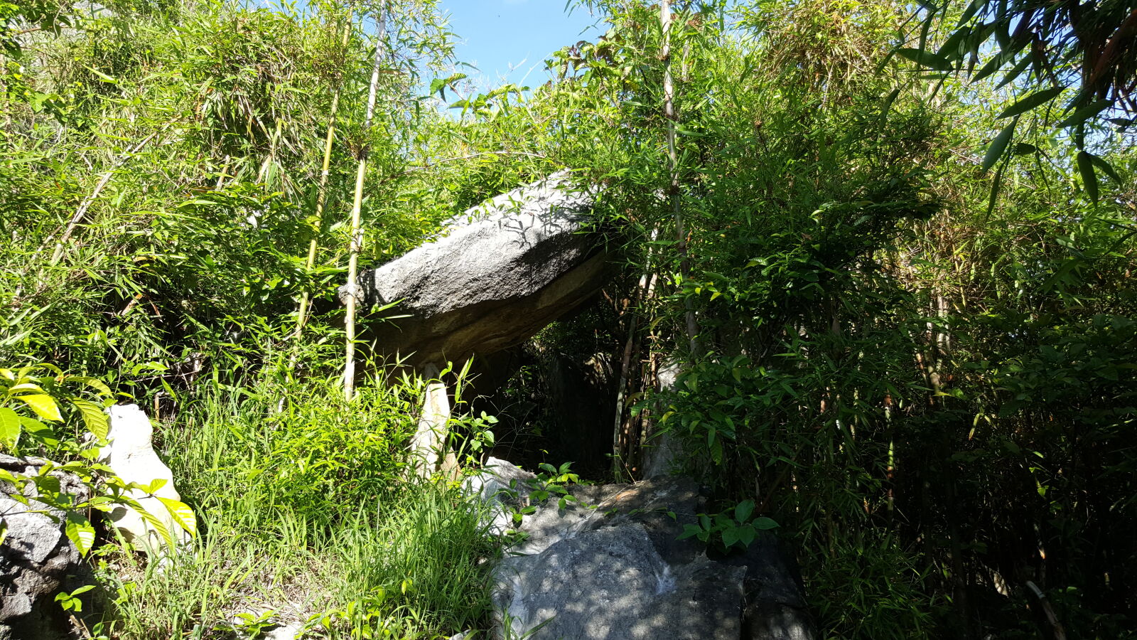 Samsung Galaxy Note5 sample photo. Forest, masungi, georeserve, nature photography