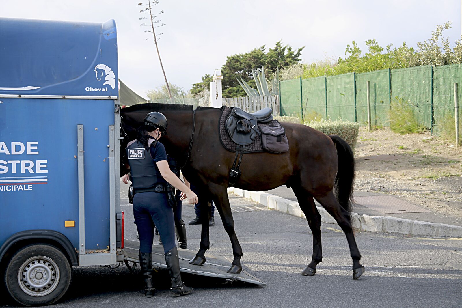 Canon EOS 5D Mark III sample photo. Horse, horseback riding, police photography