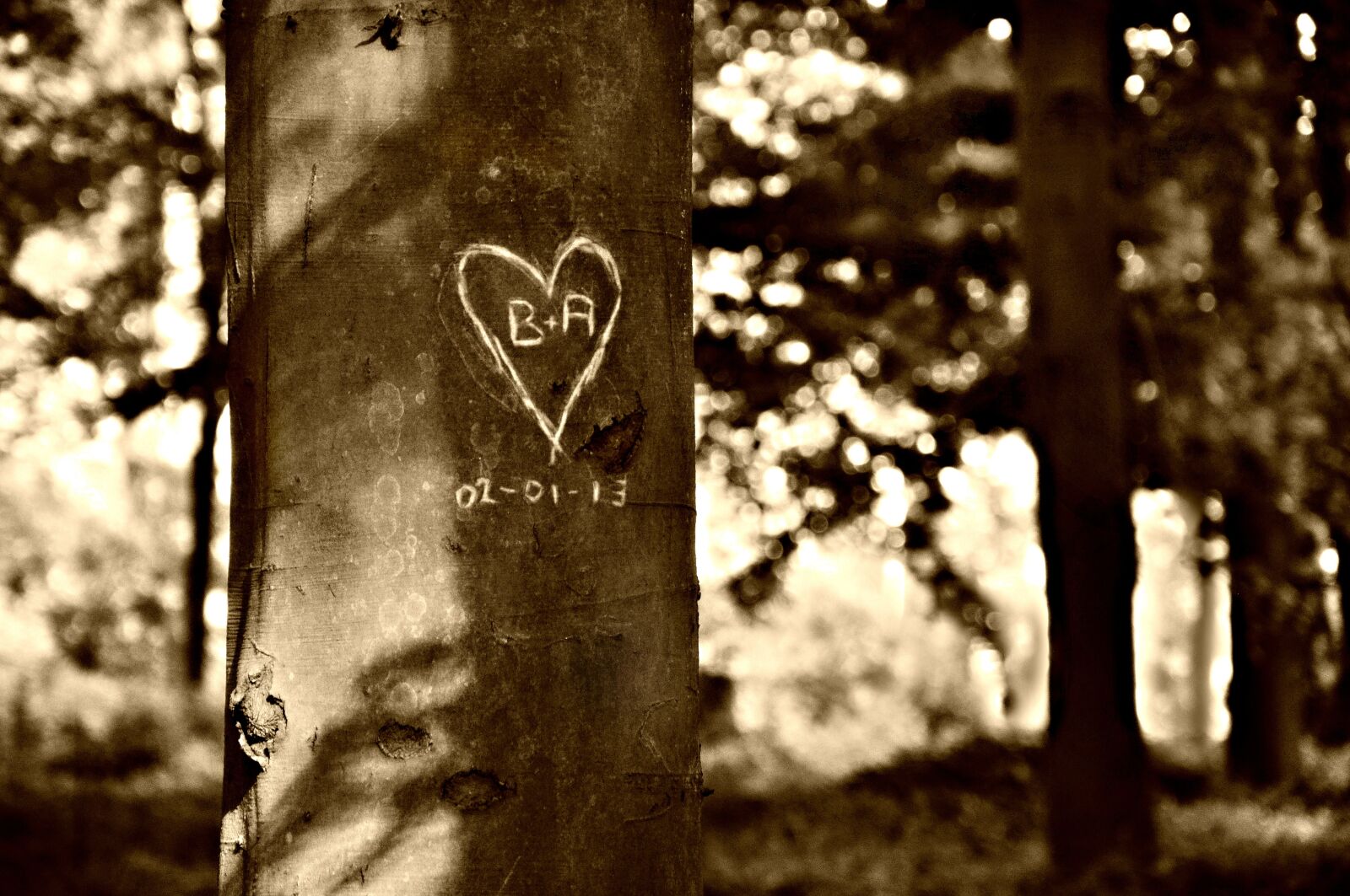 Nikon D90 sample photo. Valentine, heart, carving photography