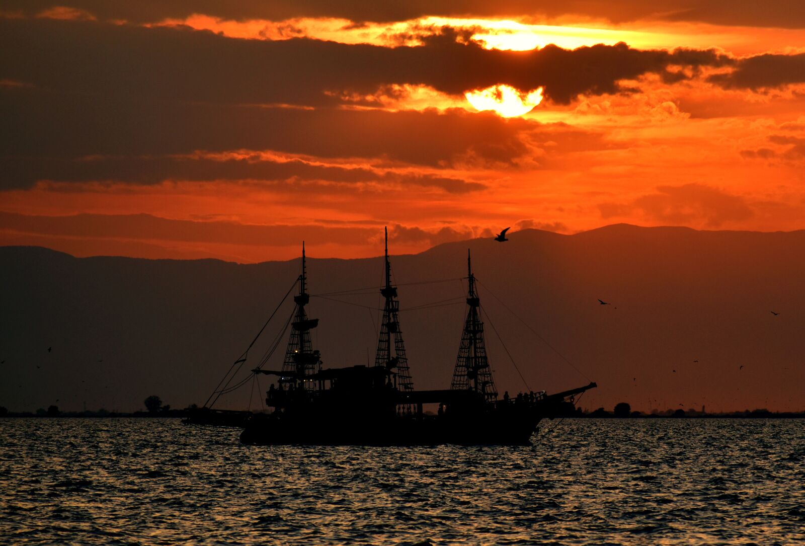 Nikon D3500 sample photo. Sunset, ship, sea photography