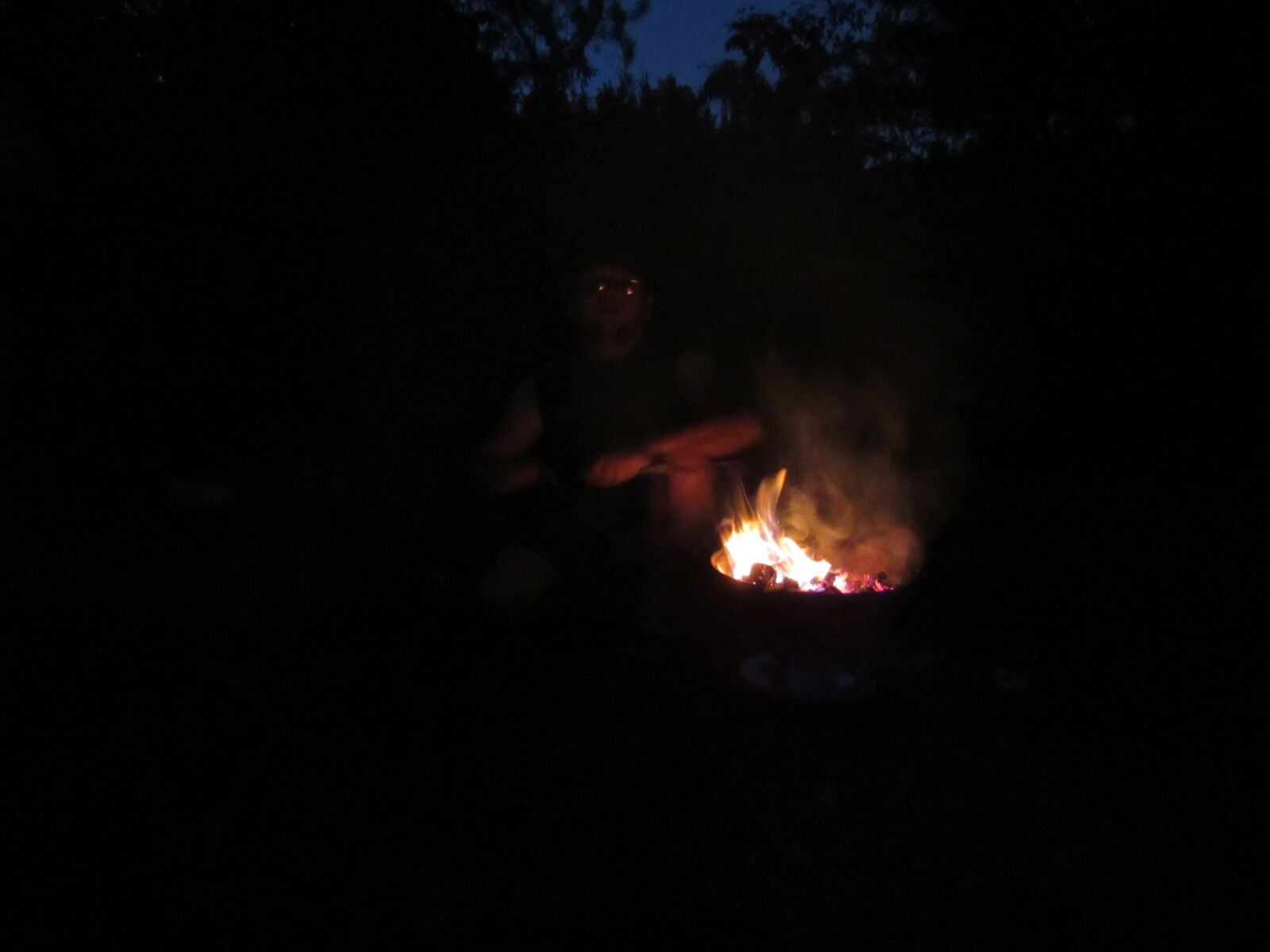 Canon PowerShot SX530 HS sample photo. Forest, campfire, night photography