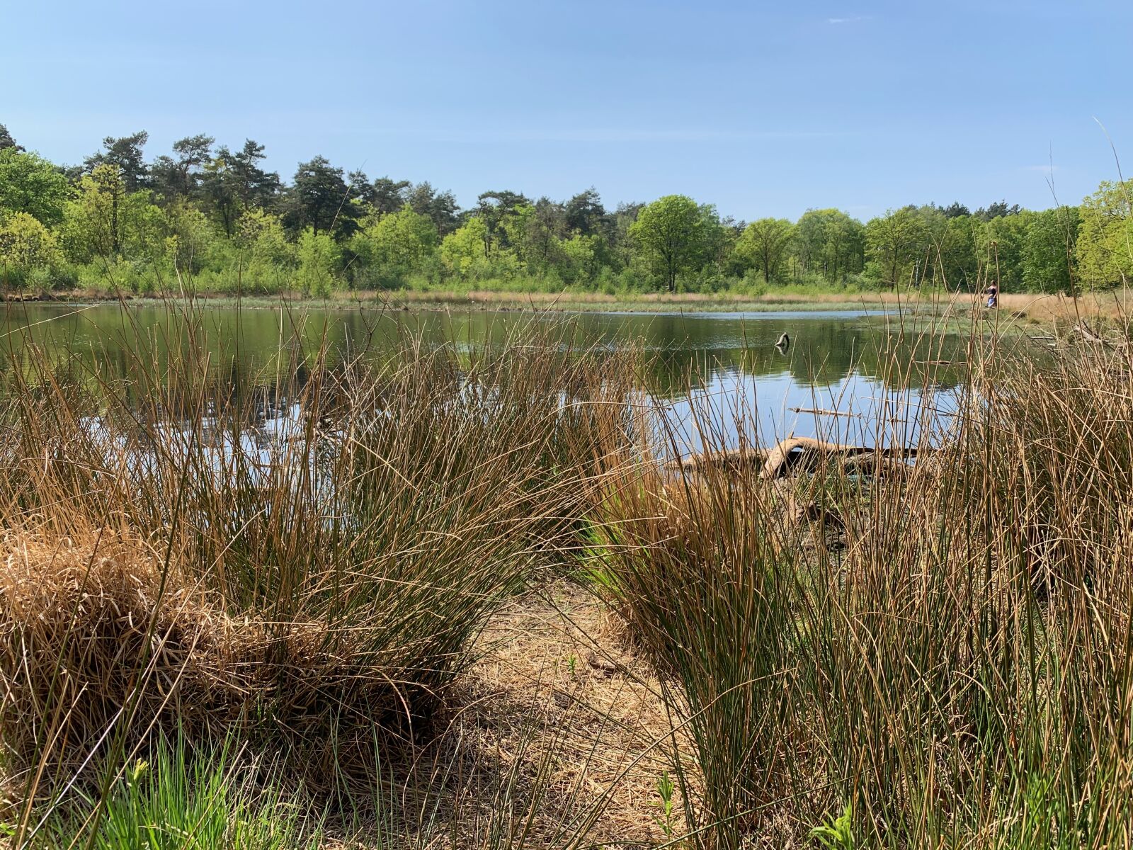 iPhone XS back dual camera 4.25mm f/1.8 sample photo. Kanunnikesven, landscape, ven photography