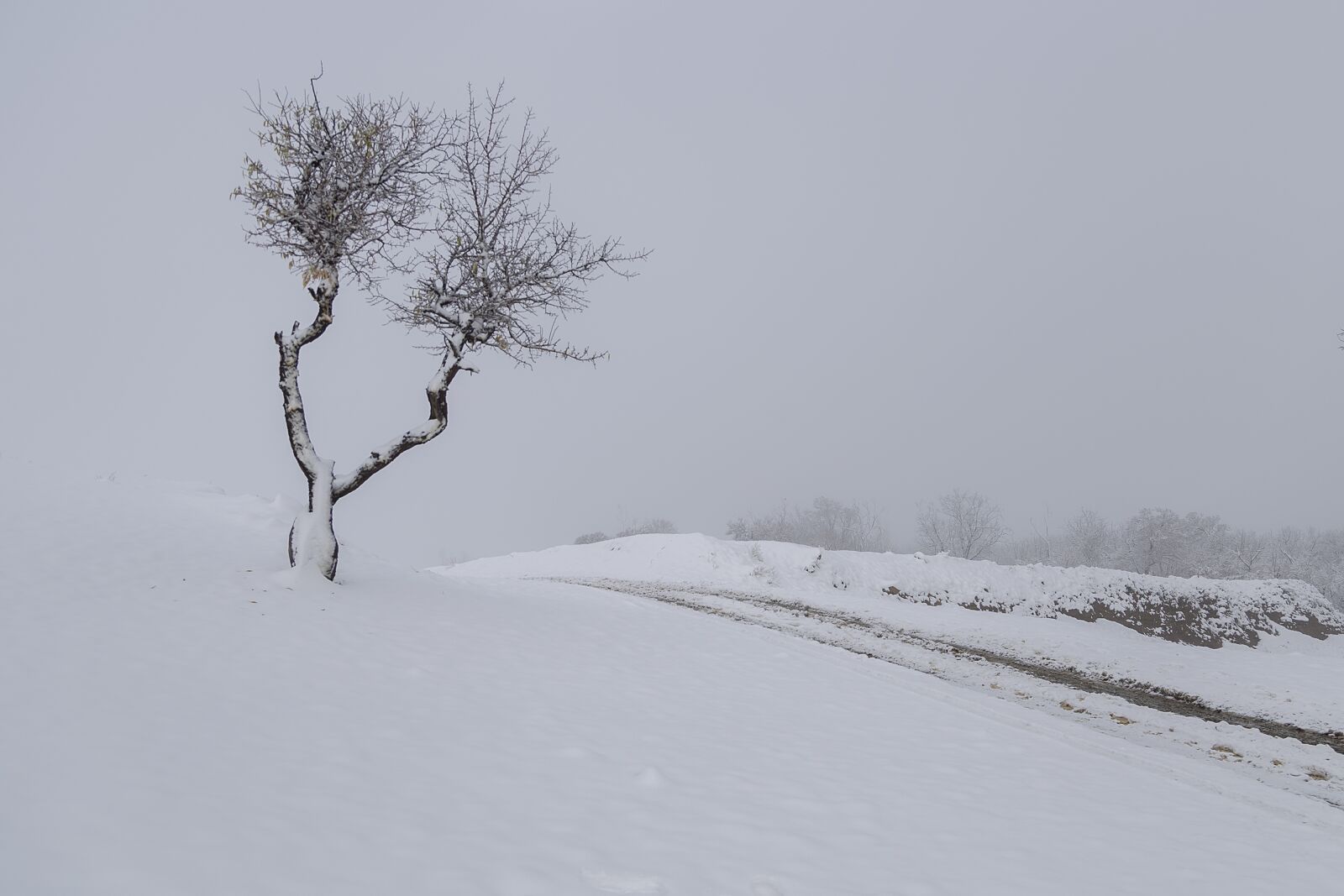 Canon EOS 6D + Canon EF 24-105mm F4L IS USM sample photo. Qom province, iran landscape photography