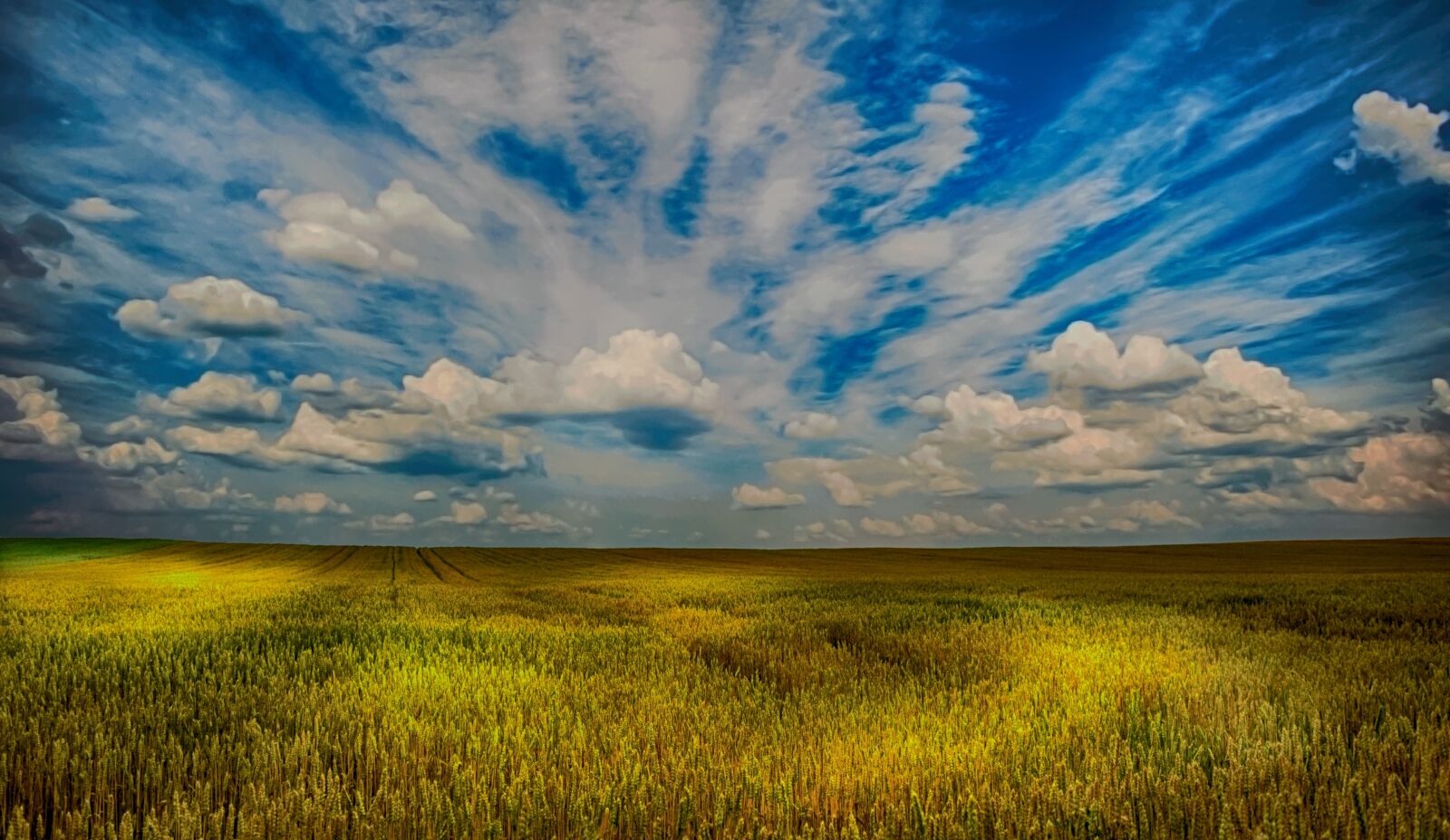 Nikon D3300 sample photo. Wheat, field, agriculture photography