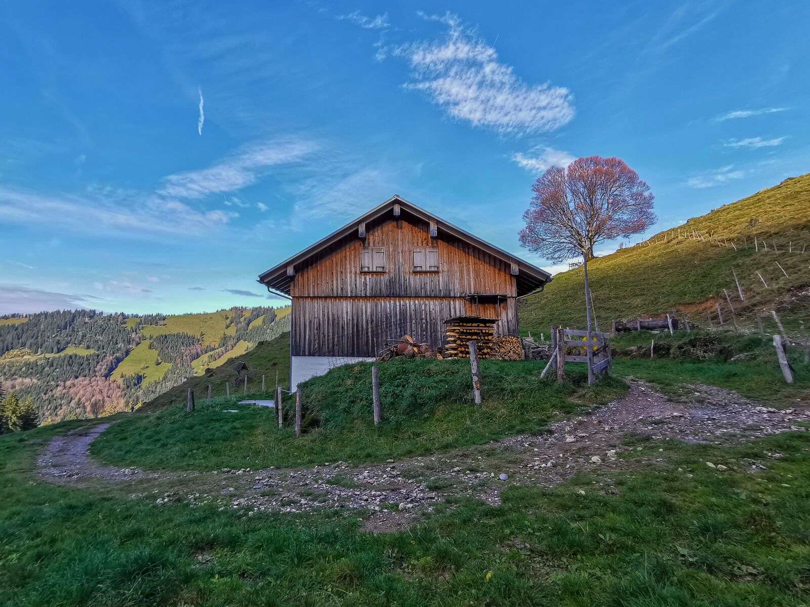 HUAWEI P30 Pro sample photo. Nature, autumn, landscape photography