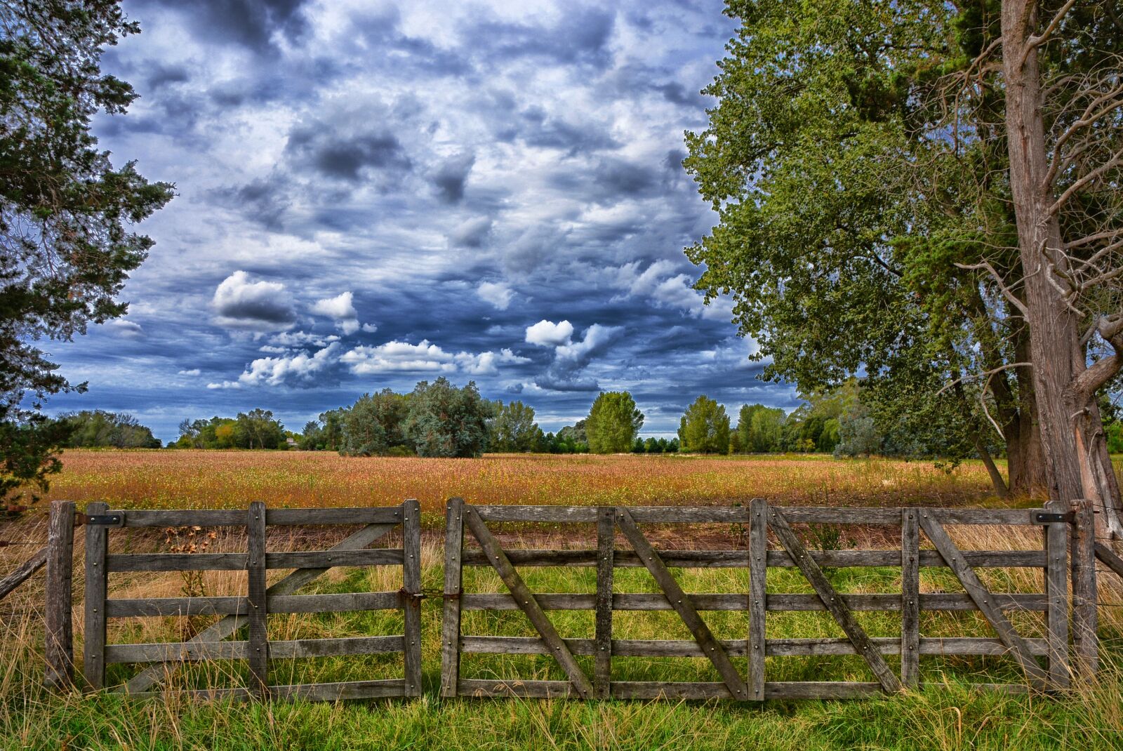 Nikon D5200 sample photo. Wood, nature, outdoors photography
