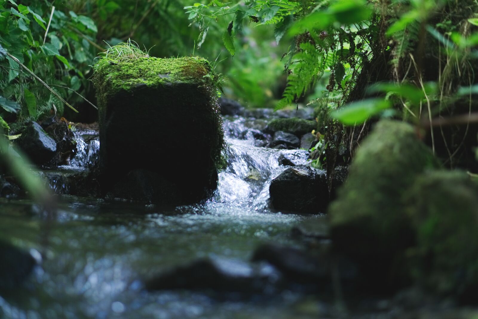 Sony a6000 sample photo. Stack, river, water photography