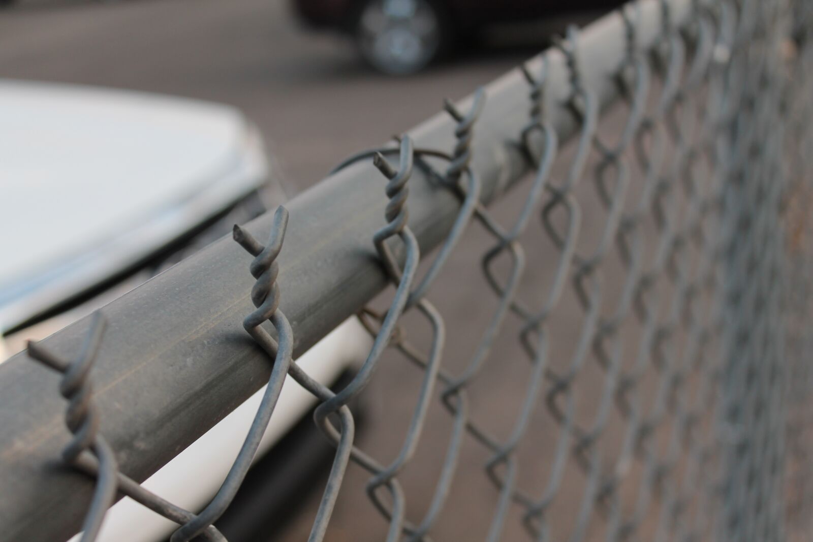 Canon EOS 1100D (EOS Rebel T3 / EOS Kiss X50) sample photo. Chain link, fence, sharp photography