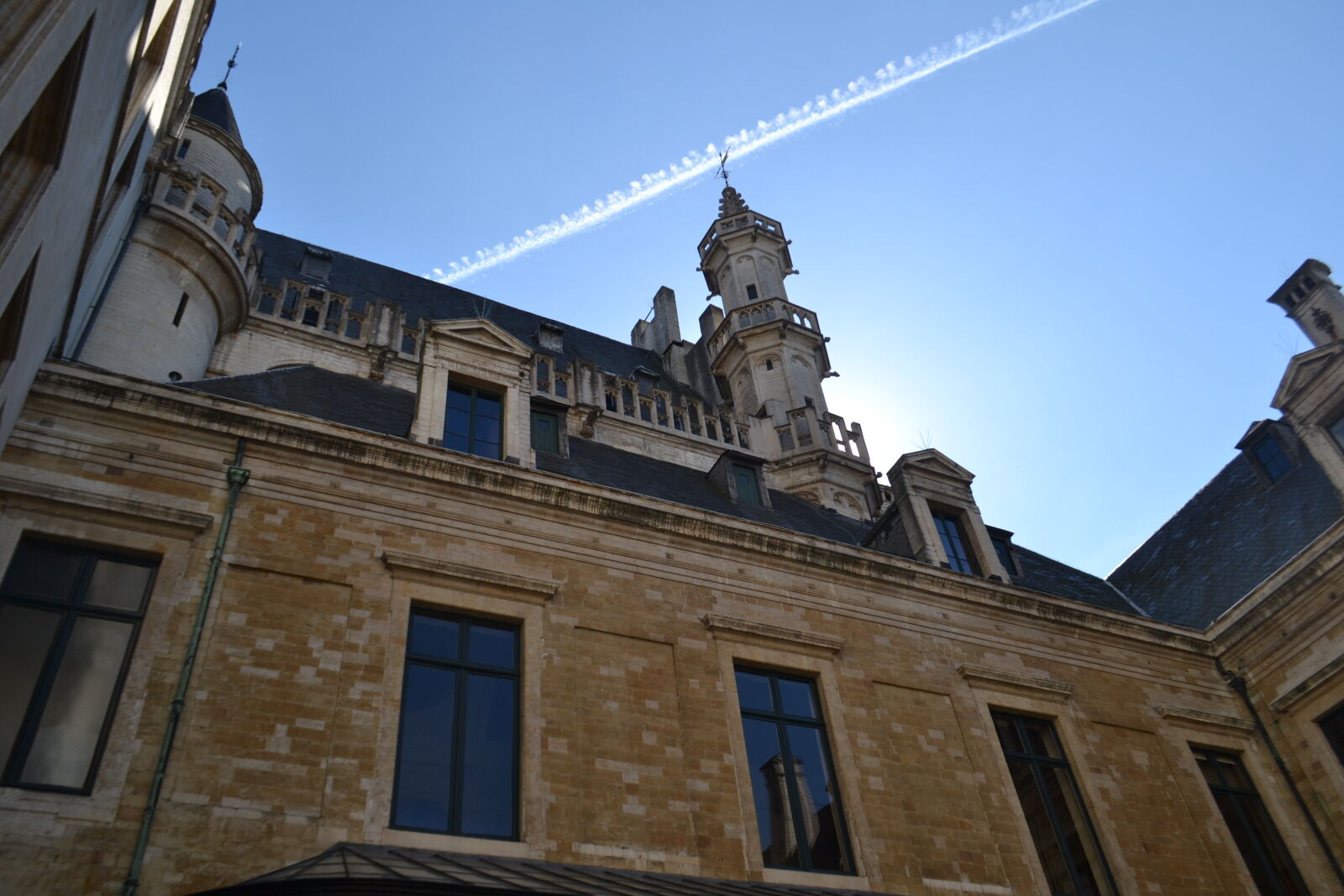Nikon D3100 sample photo