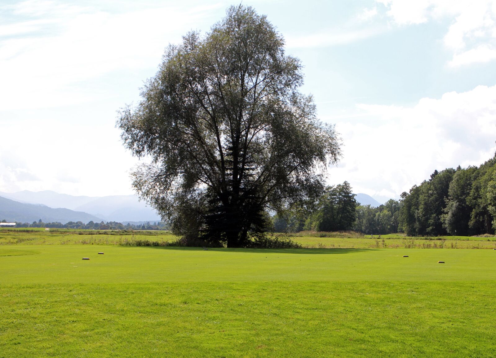 Canon EOS M sample photo. Landscape, chiemgau, tree photography