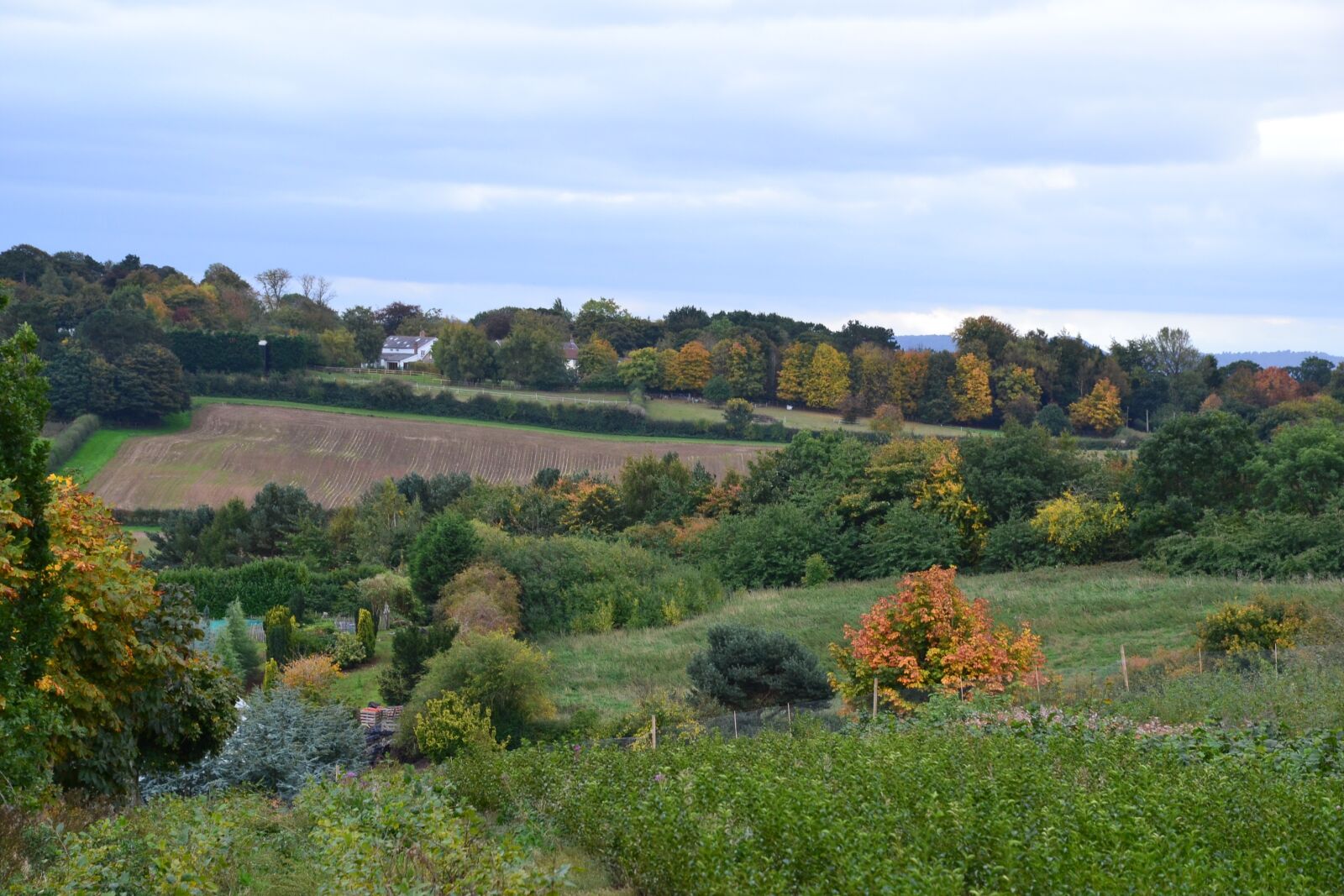 Nikon D3100 sample photo. Cheshire, autumn, fall photography