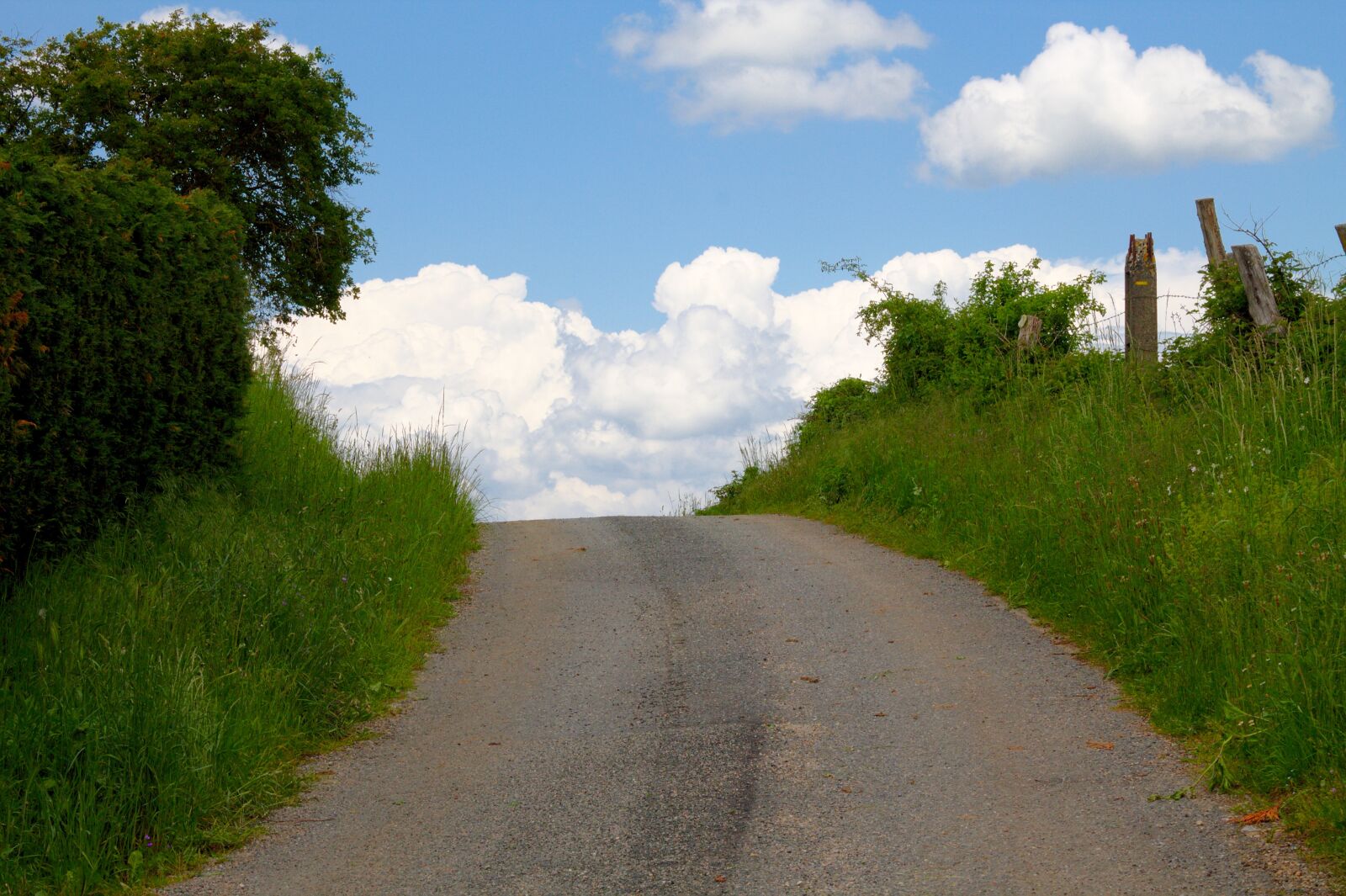 Canon EOS 1100D (EOS Rebel T3 / EOS Kiss X50) sample photo. Sky, path, landscape photography