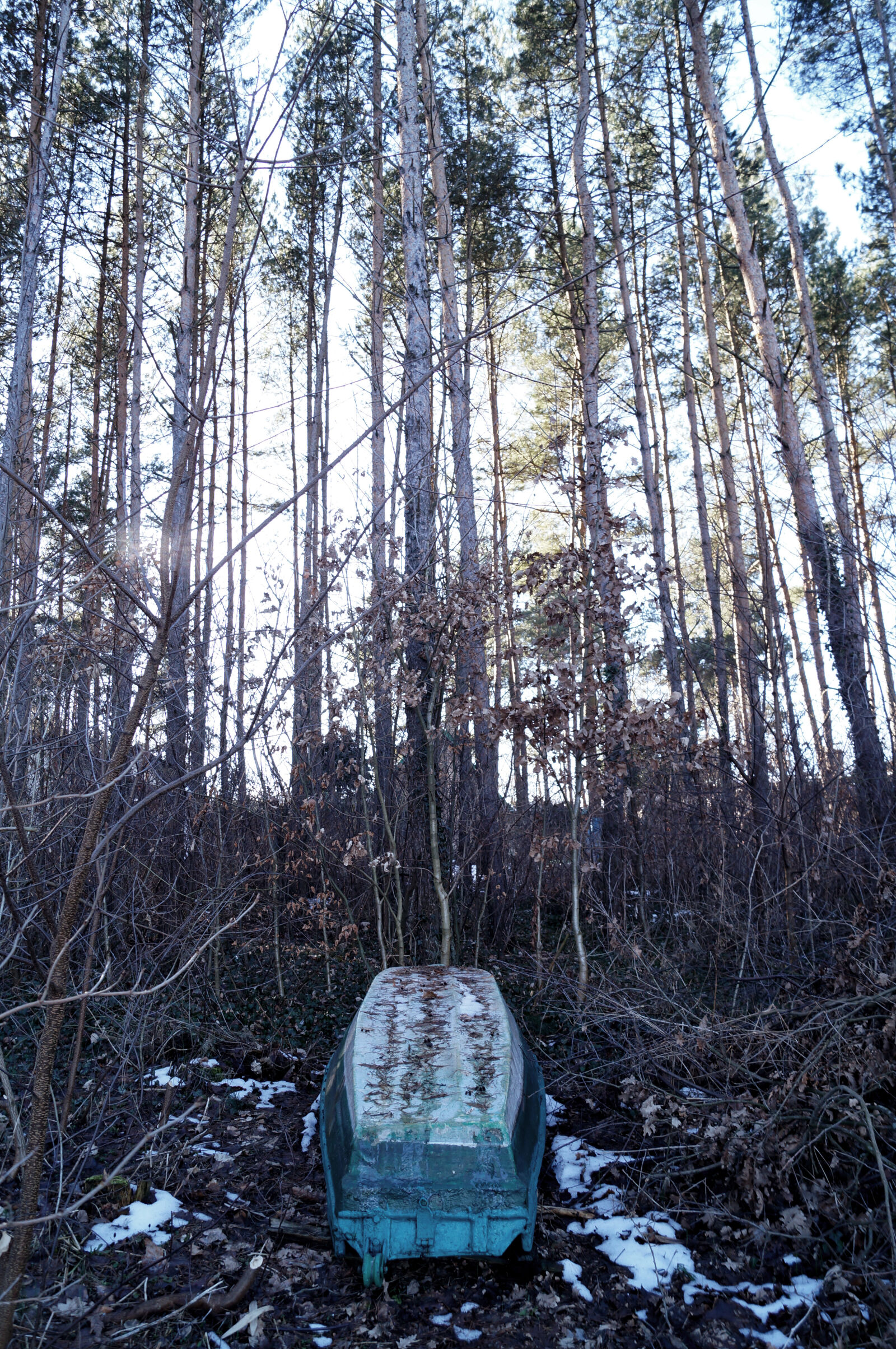 Sony SLT-A37 sample photo. Boat, dark, snow, trees photography