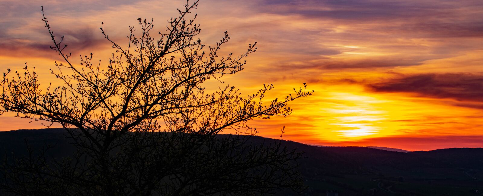 Nikon D5300 sample photo. Sunset, trees, landscape photography