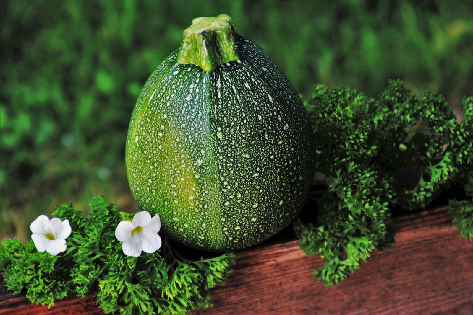 Canon EOS 80D sample photo. Zucchini, green, vegetables photography