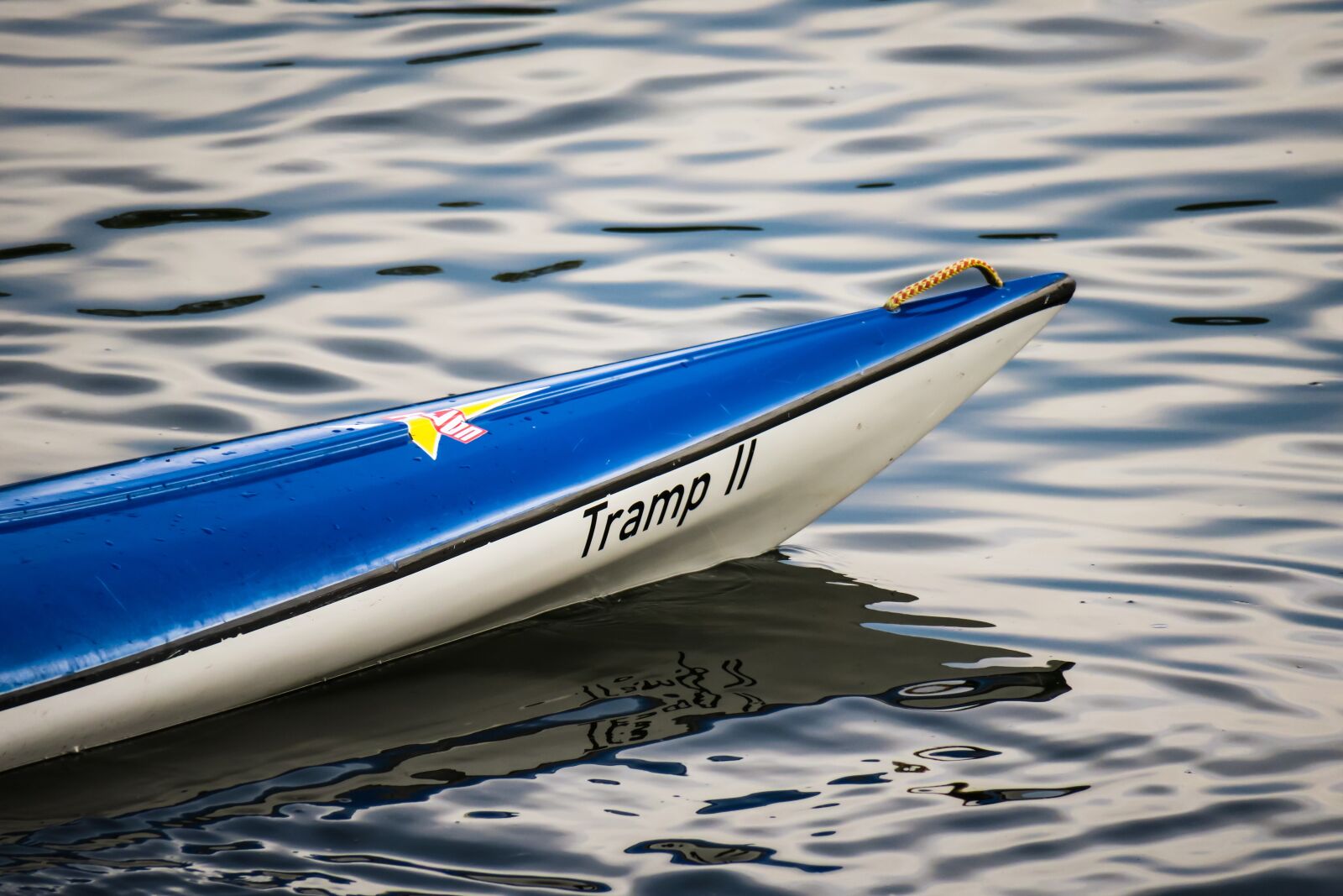 Canon PowerShot G3 X sample photo. Bug, boat, paddle boat photography