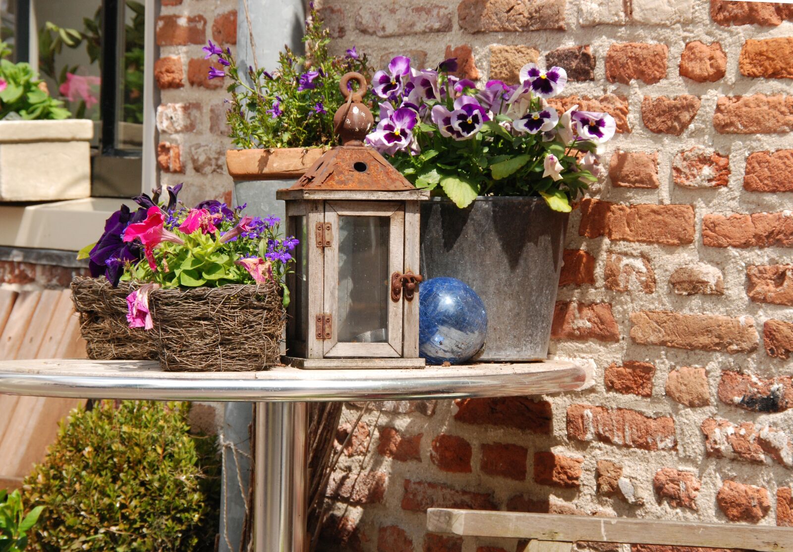 Nikon D80 sample photo. Table, plant, flower photography