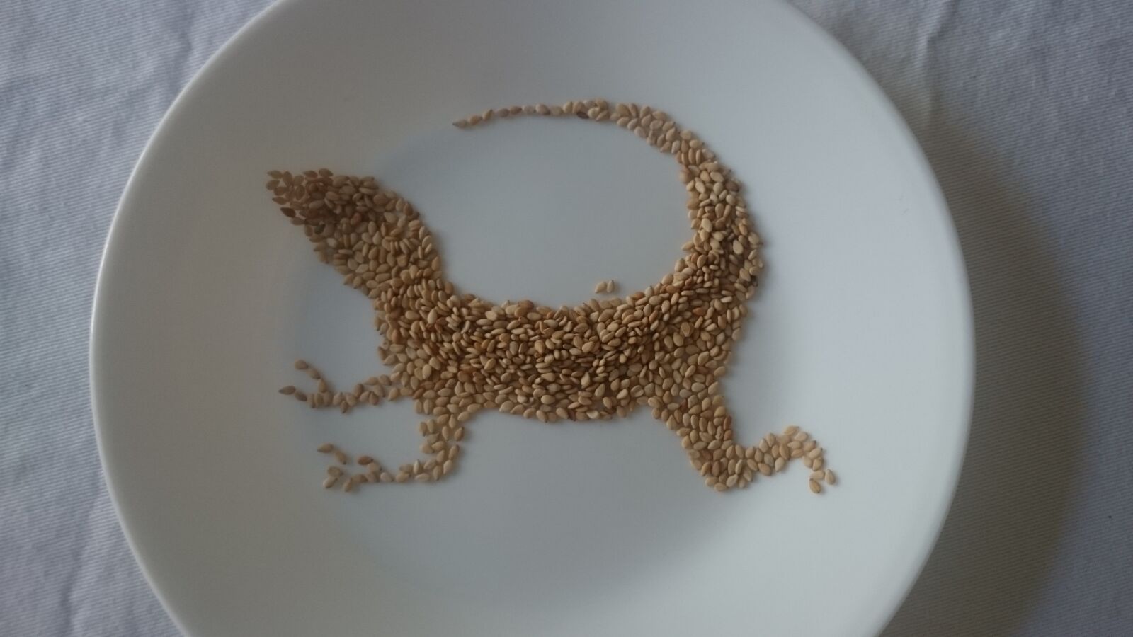 Sony Xperia Z2 sample photo. Lizard, grains, plate photography