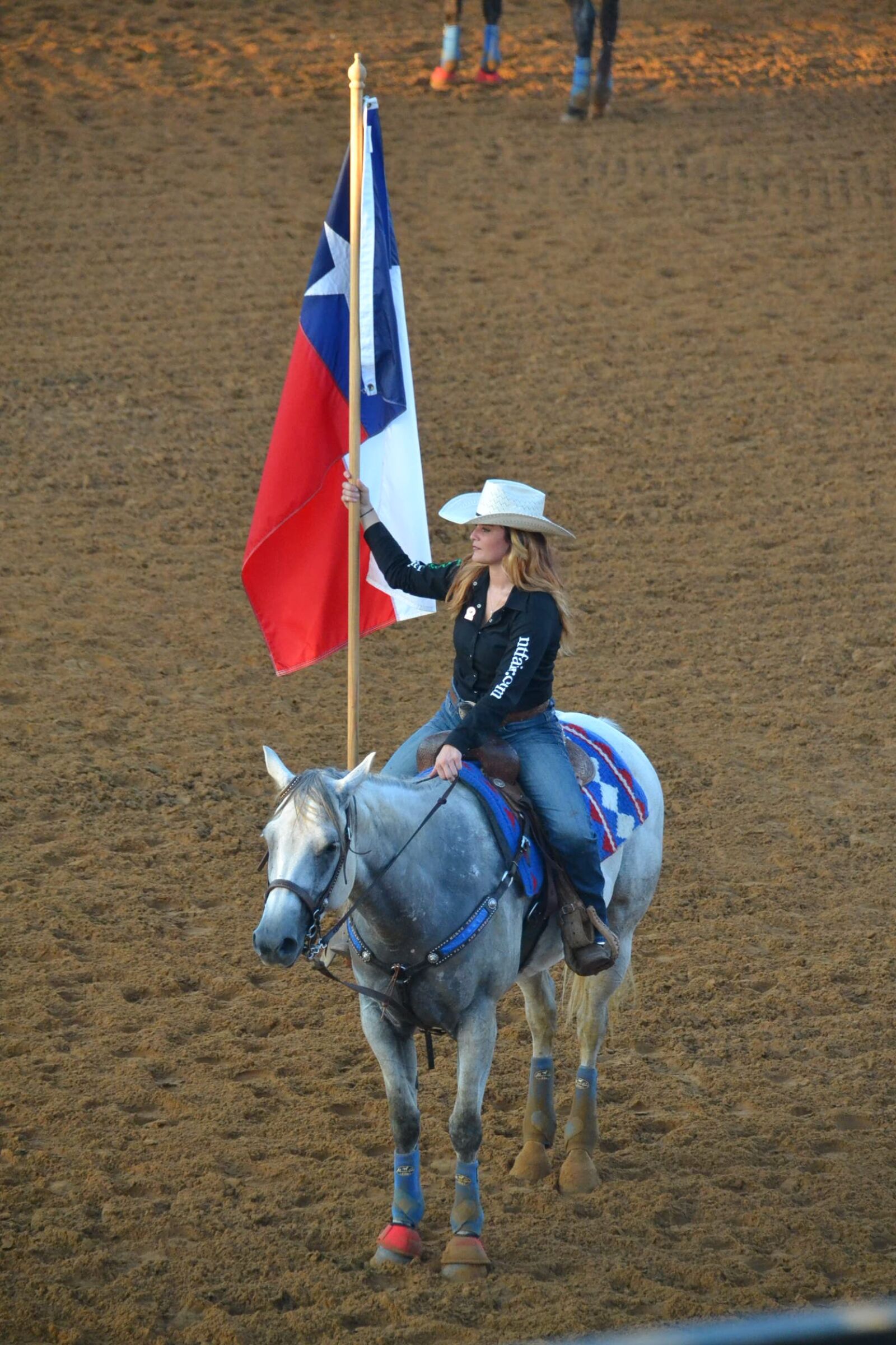 Nikon D3100 sample photo. Texas state flag, horse photography