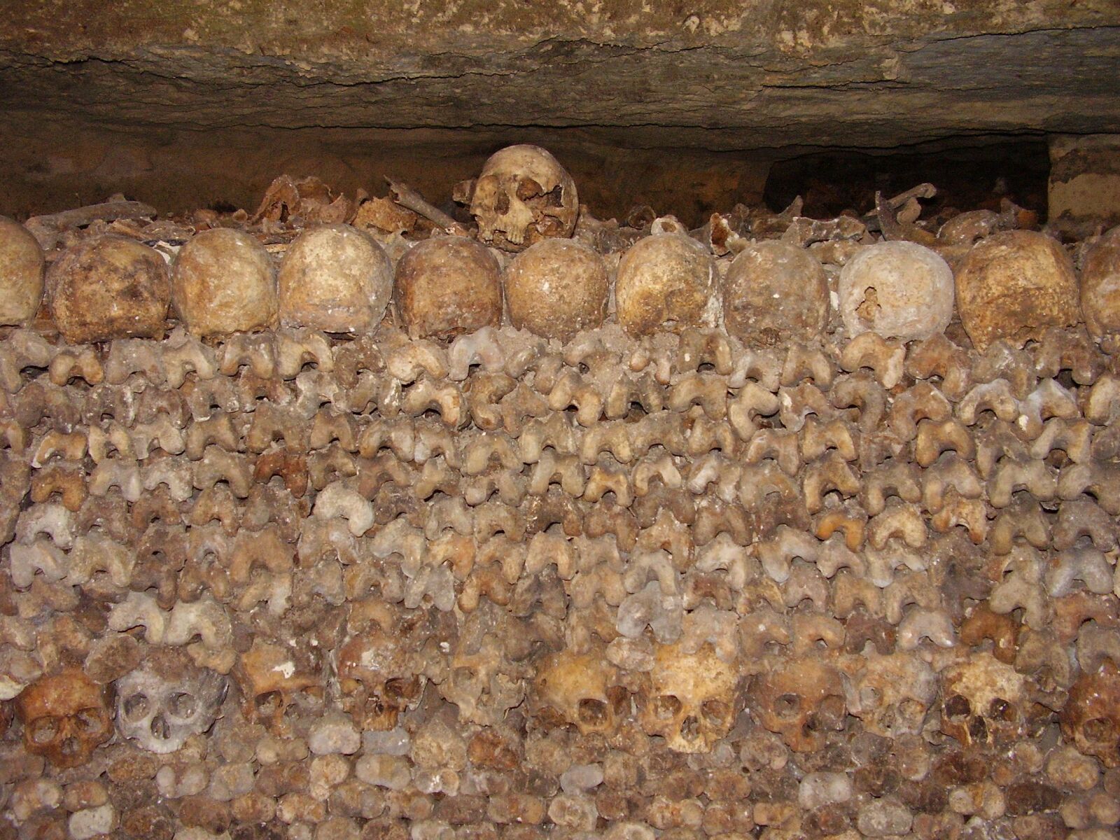 Olympus FE115,X715 sample photo. Catacombs, skulls, bone photography