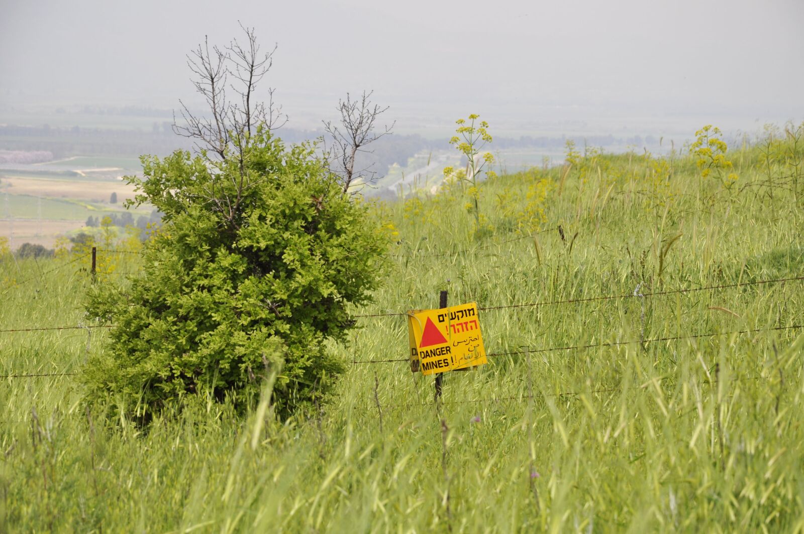 Nikon D5000 sample photo. Israel, golan, land mines photography