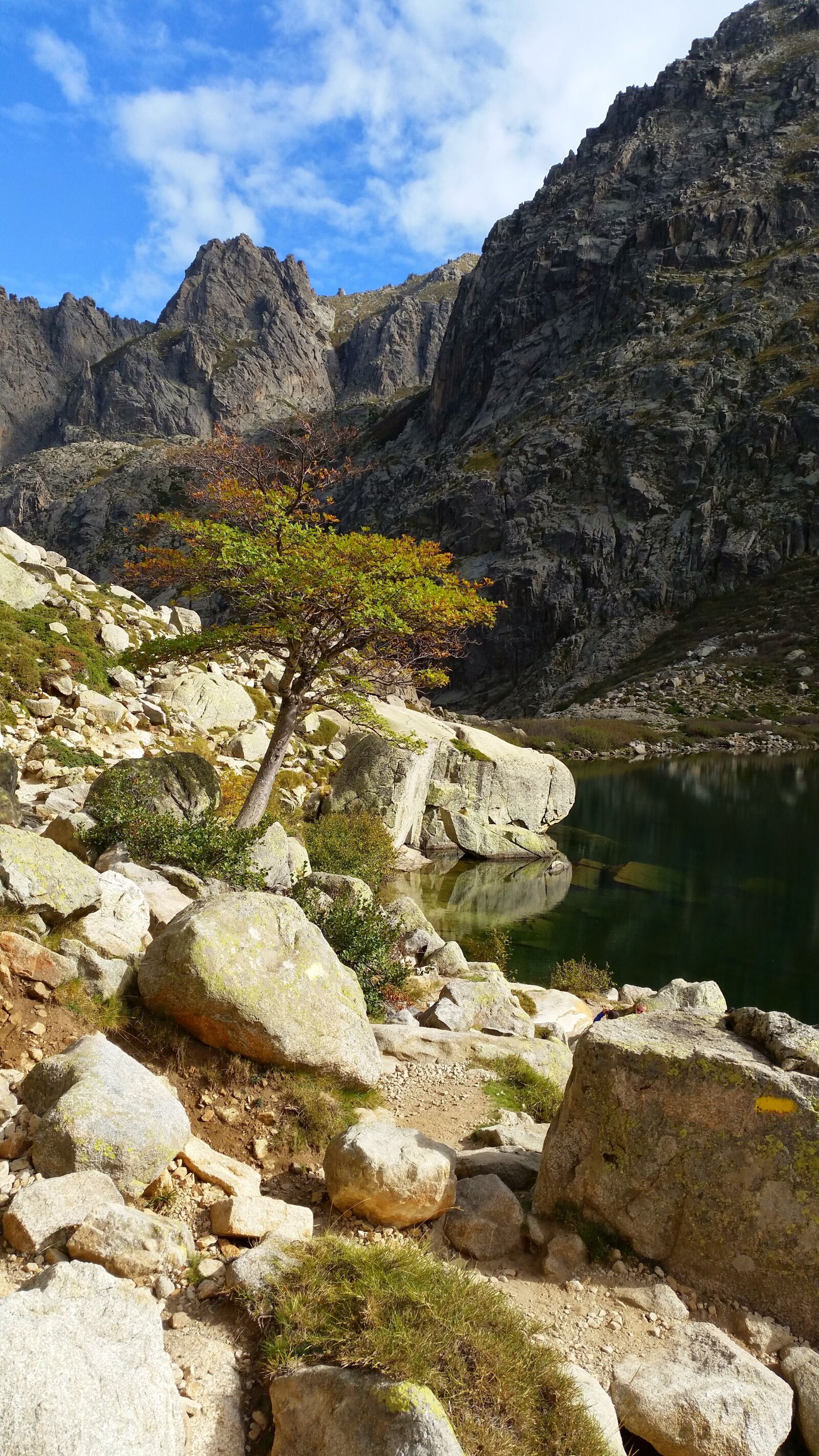 Samsung Galaxy S5 sample photo. Corsican, mountain, restonica photography