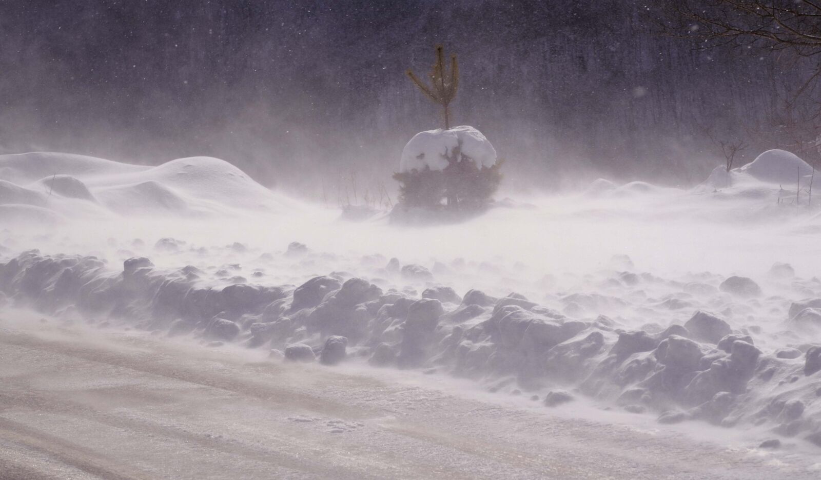 Nikon D7000 sample photo. Snow, winter, cold photography