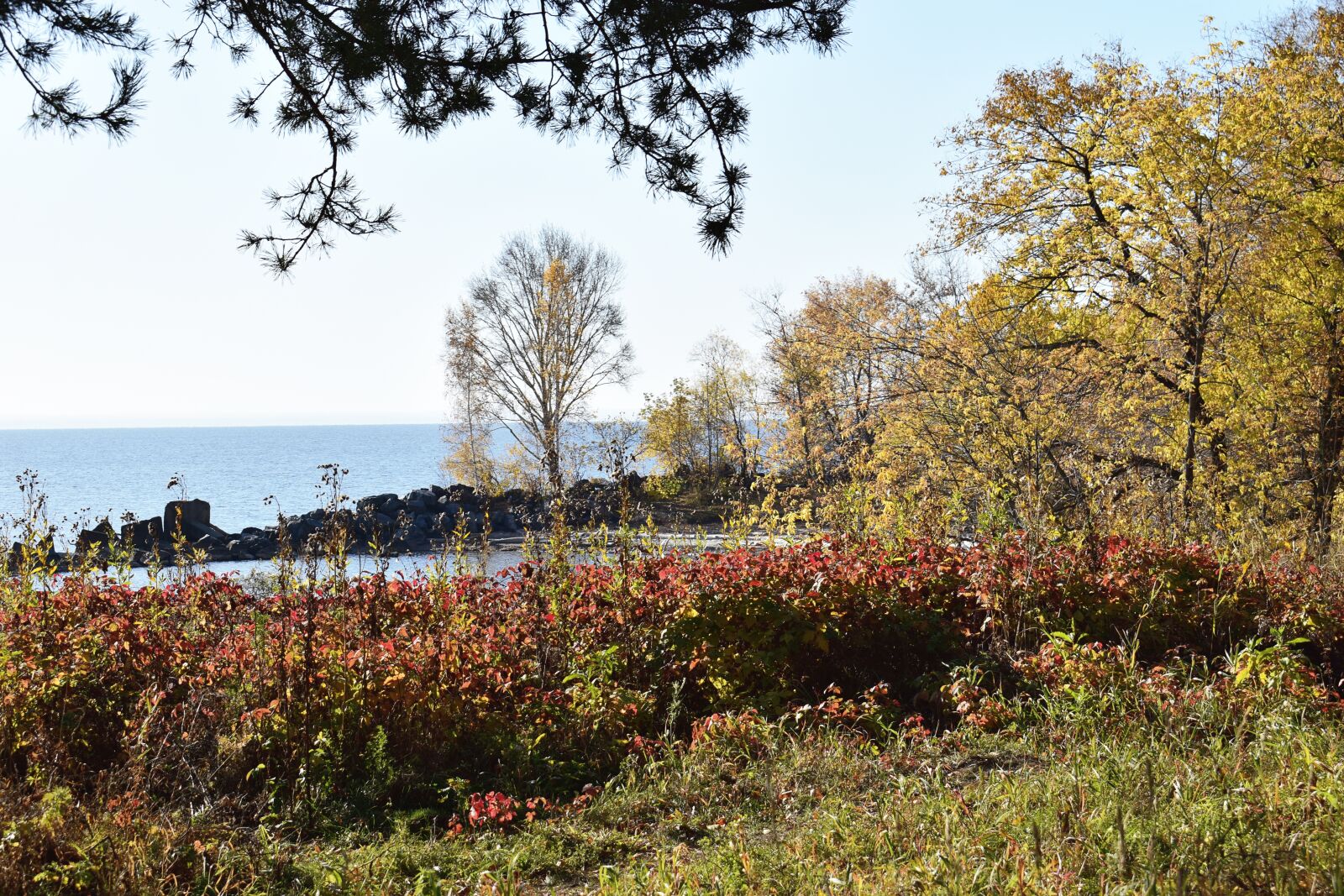 Nikon D3300 sample photo. Sea, park, nature photography