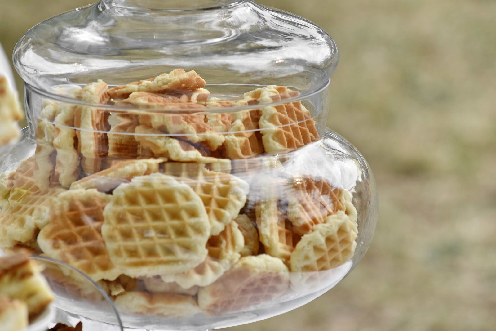 Nikon D5500 sample photo. Bowl, cookies, dessert, glass photography